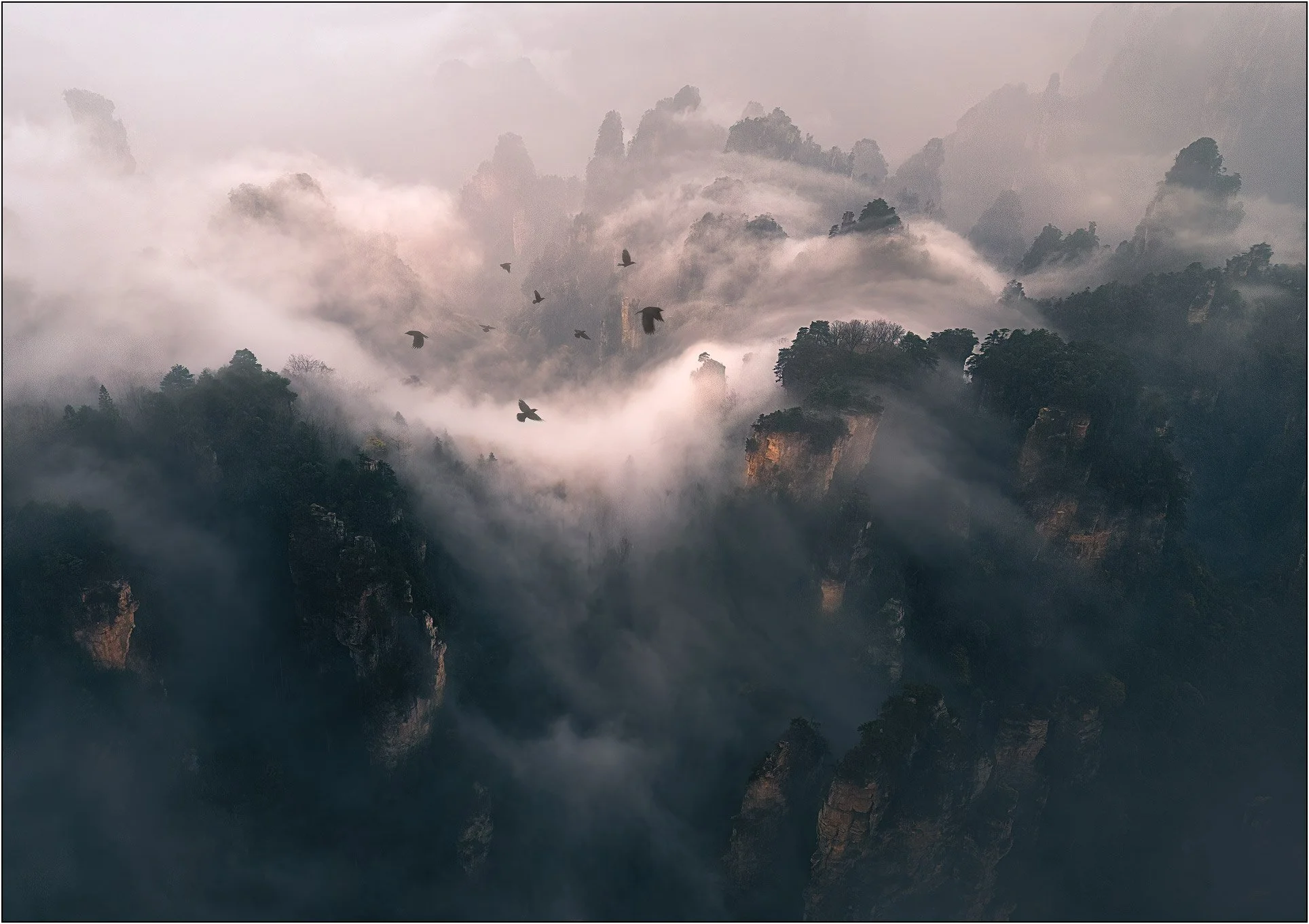 Sandstone mountains emerging through drifting mist and clouds in Zhangjiajie, China.