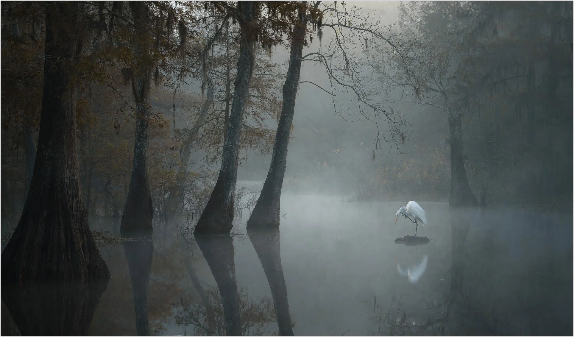 From the visible world to the inner landscape.