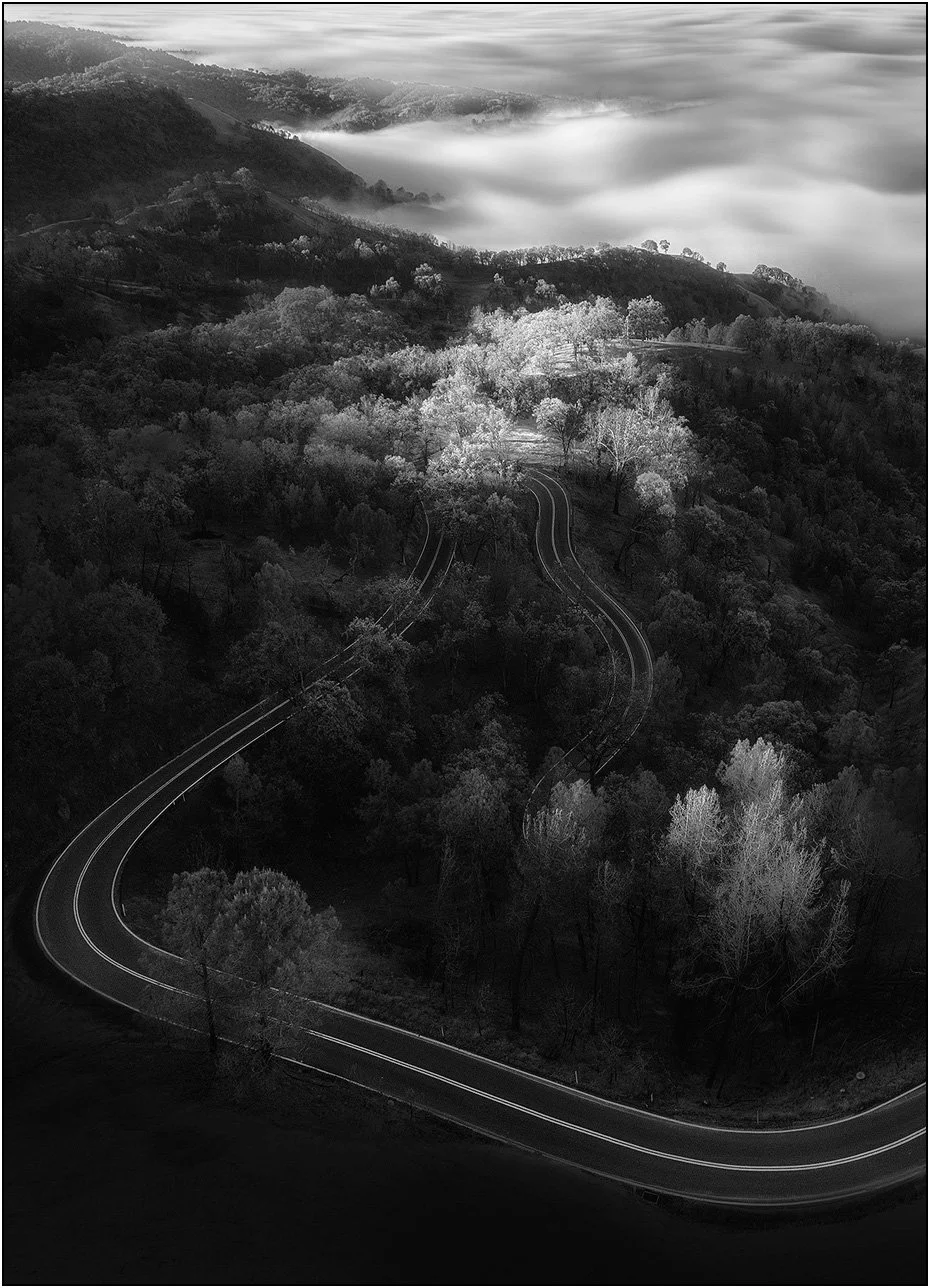 Winding mountain road cutting through forest in soft fog (black and white)