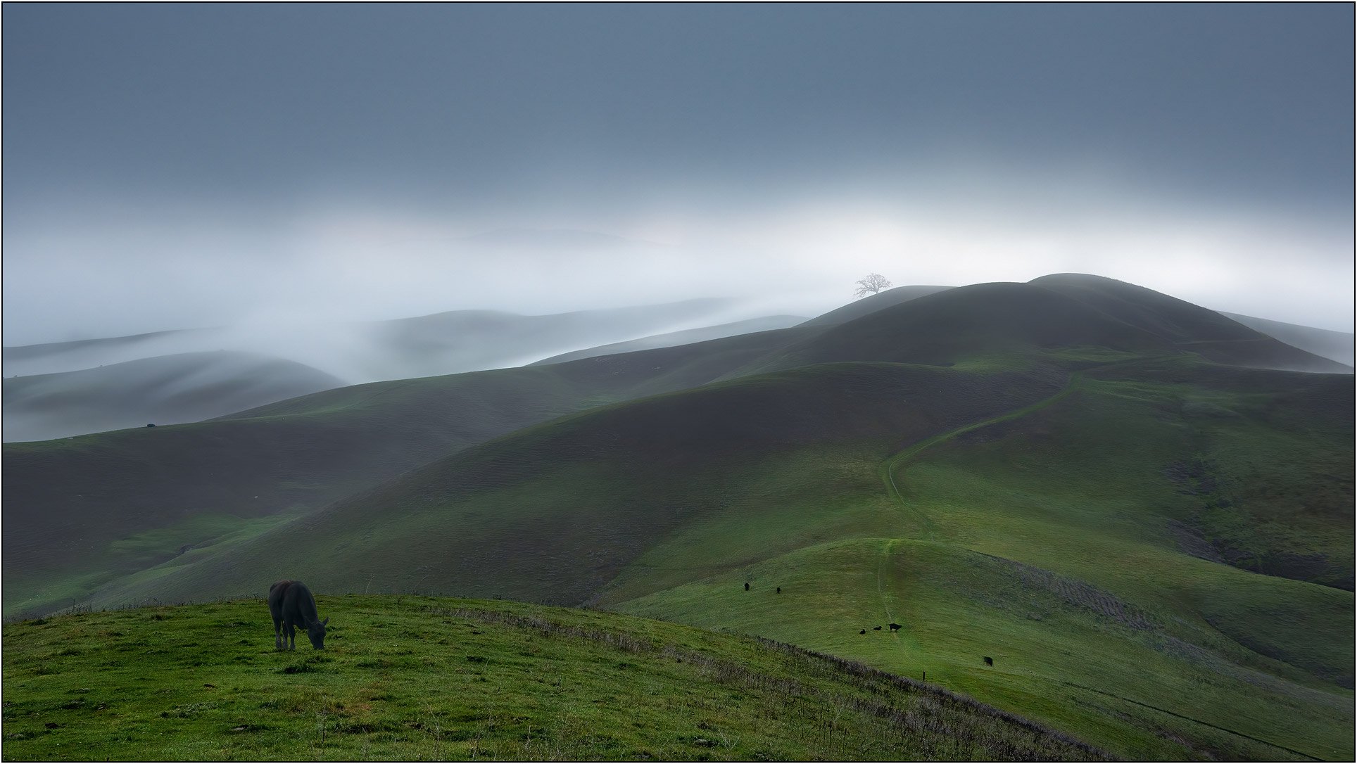 Rolling green hills with a grazing cow in the foreground and soft fog drifting in the background