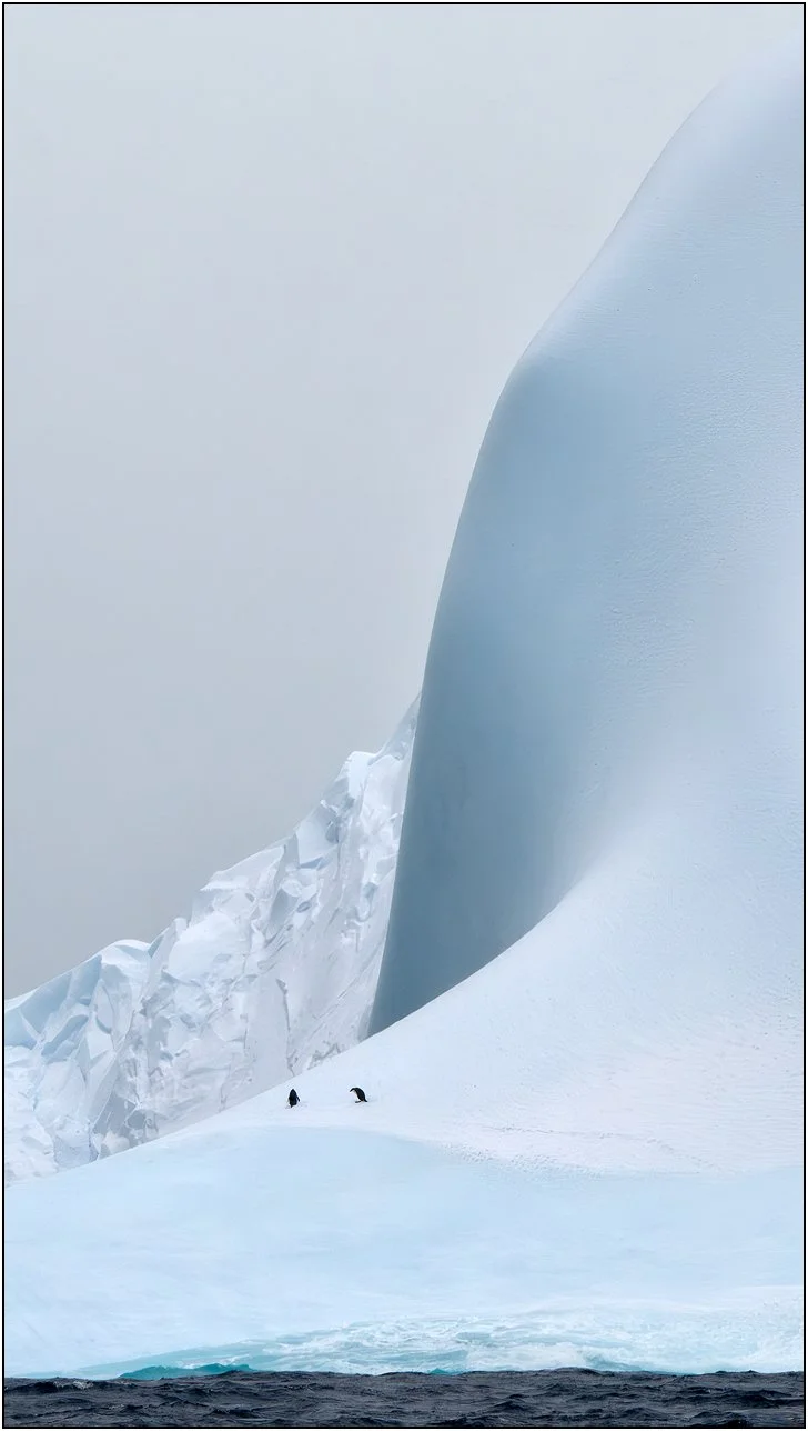 Two penguins on a huge iceberg in Antarctica.