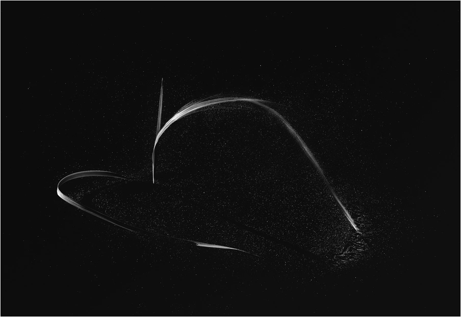 Black and white simplistic closeup of grass grows on black desert in Iceland.