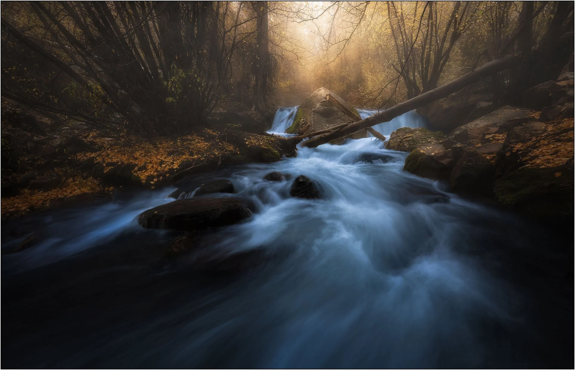 Flowing creek in autumn forest with soft light and fallen leaves in Utah landscape