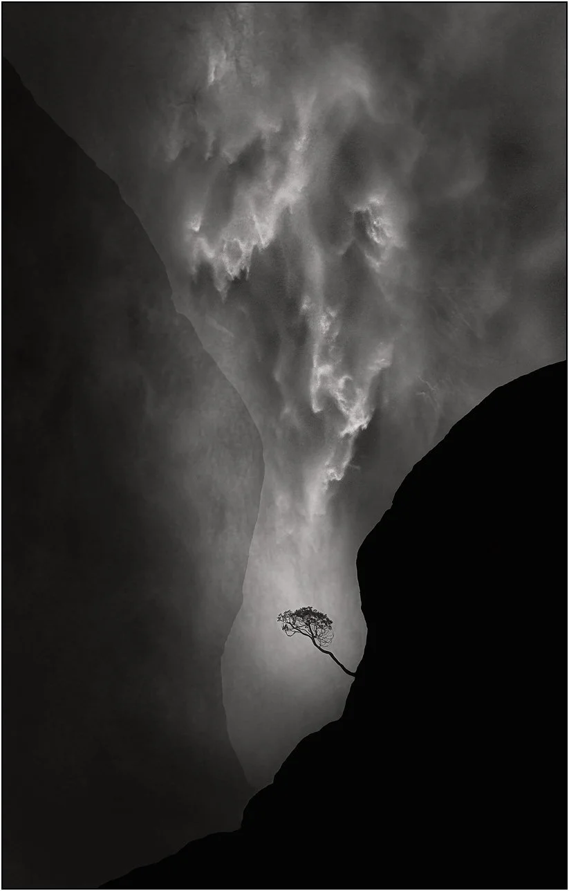 Dramatic black and white scene of a waterfall with a lone tree standing in quiet contrast, Yosemite national park, California.