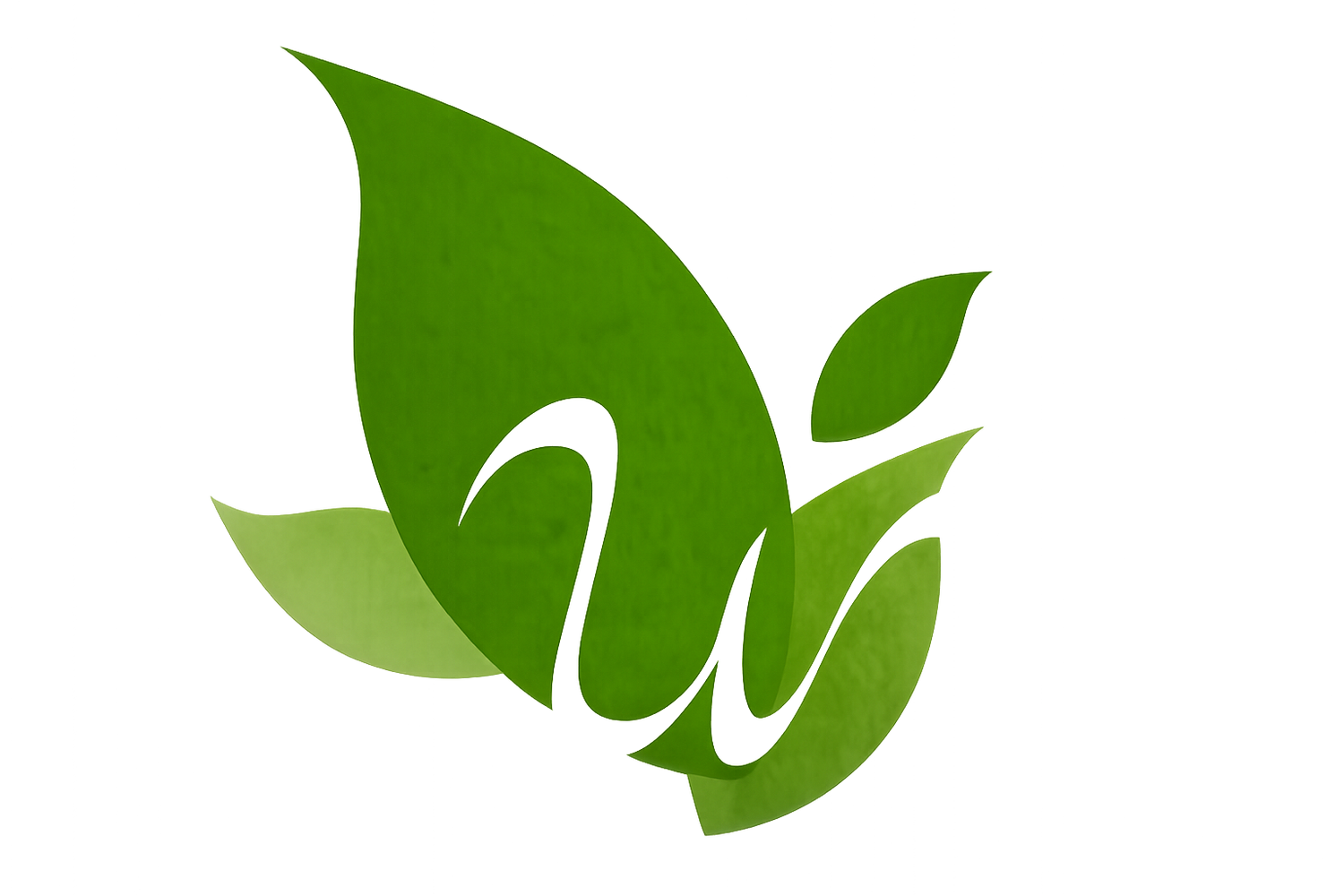 Nervous System Support with Megan Wuest