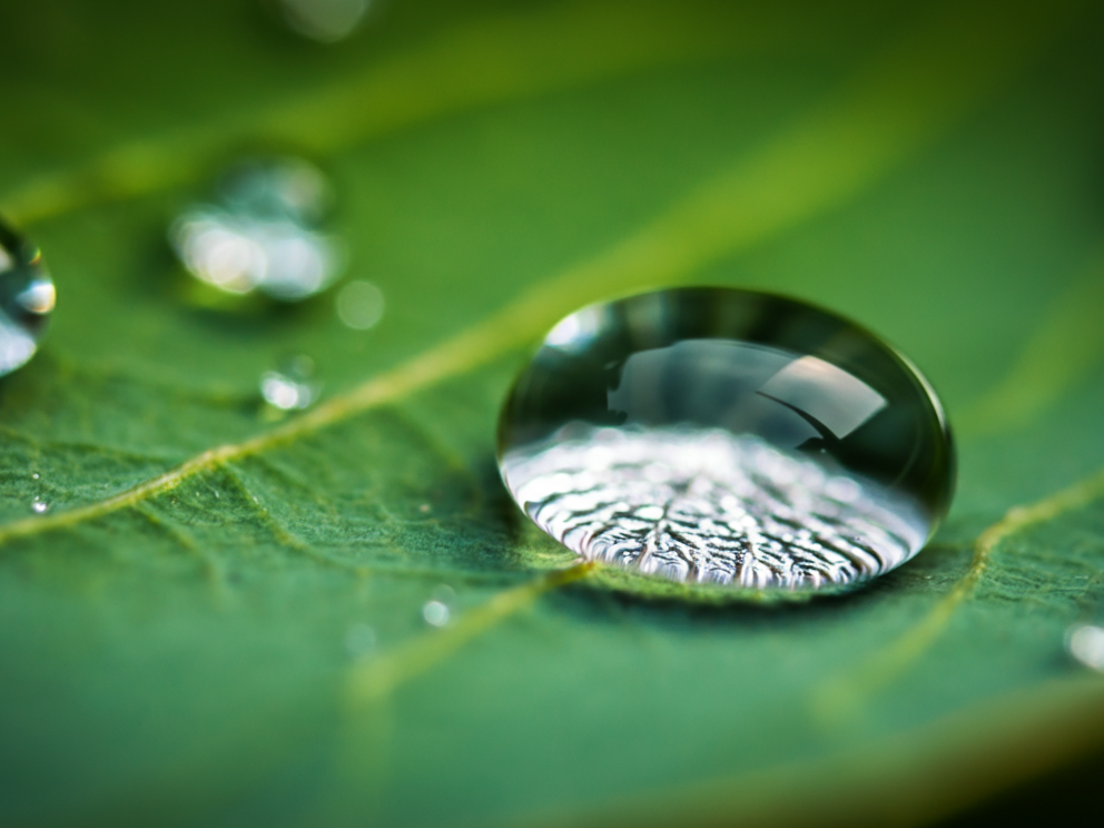 Close-up of water droplet on green leaf showing reflection of sky and tree branches.