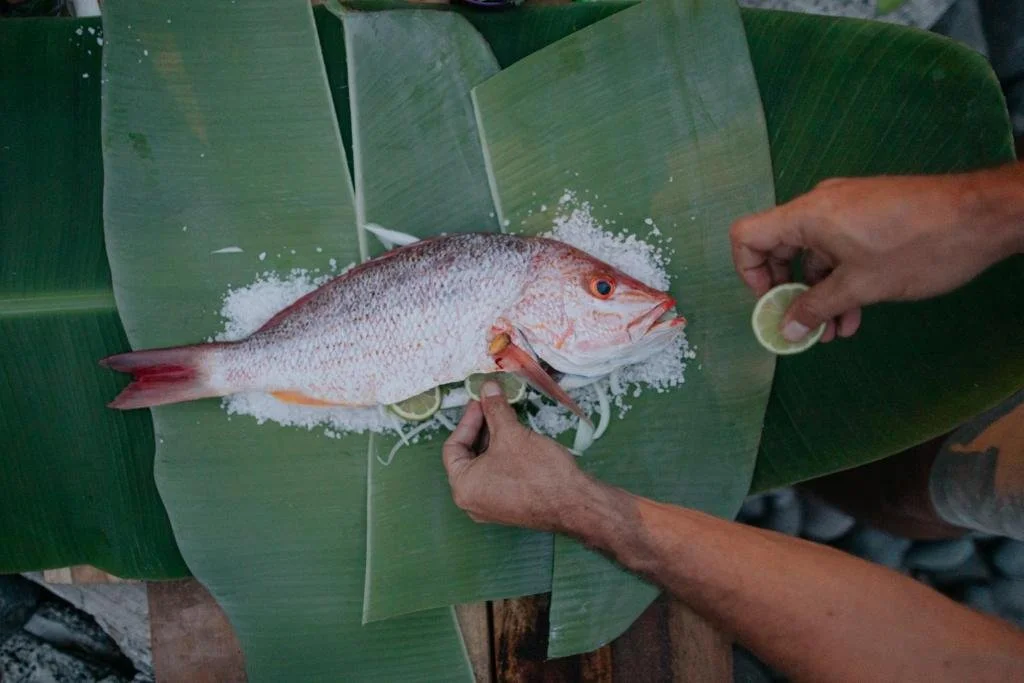 MIzata_Fish.jpg