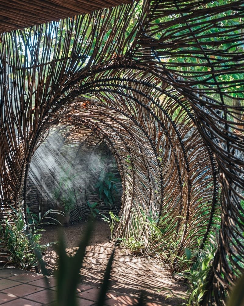 A tunnel made of intertwined palm leaves with sunlight filtering through, revealing plants and greenery inside.