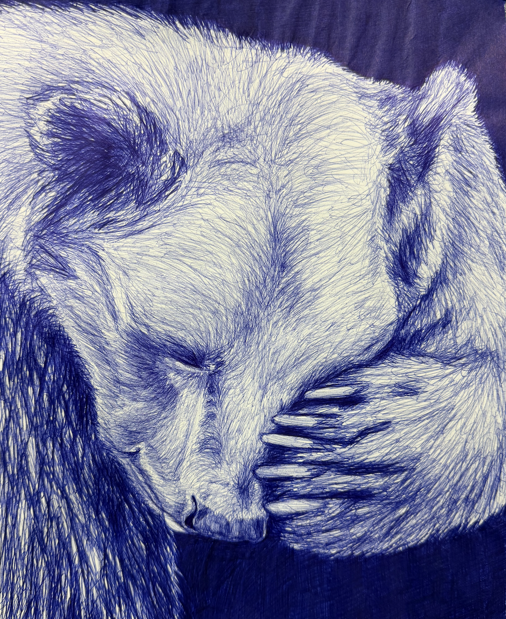 Bashful Bear. 2025, Ink on paper, 12" x 9"