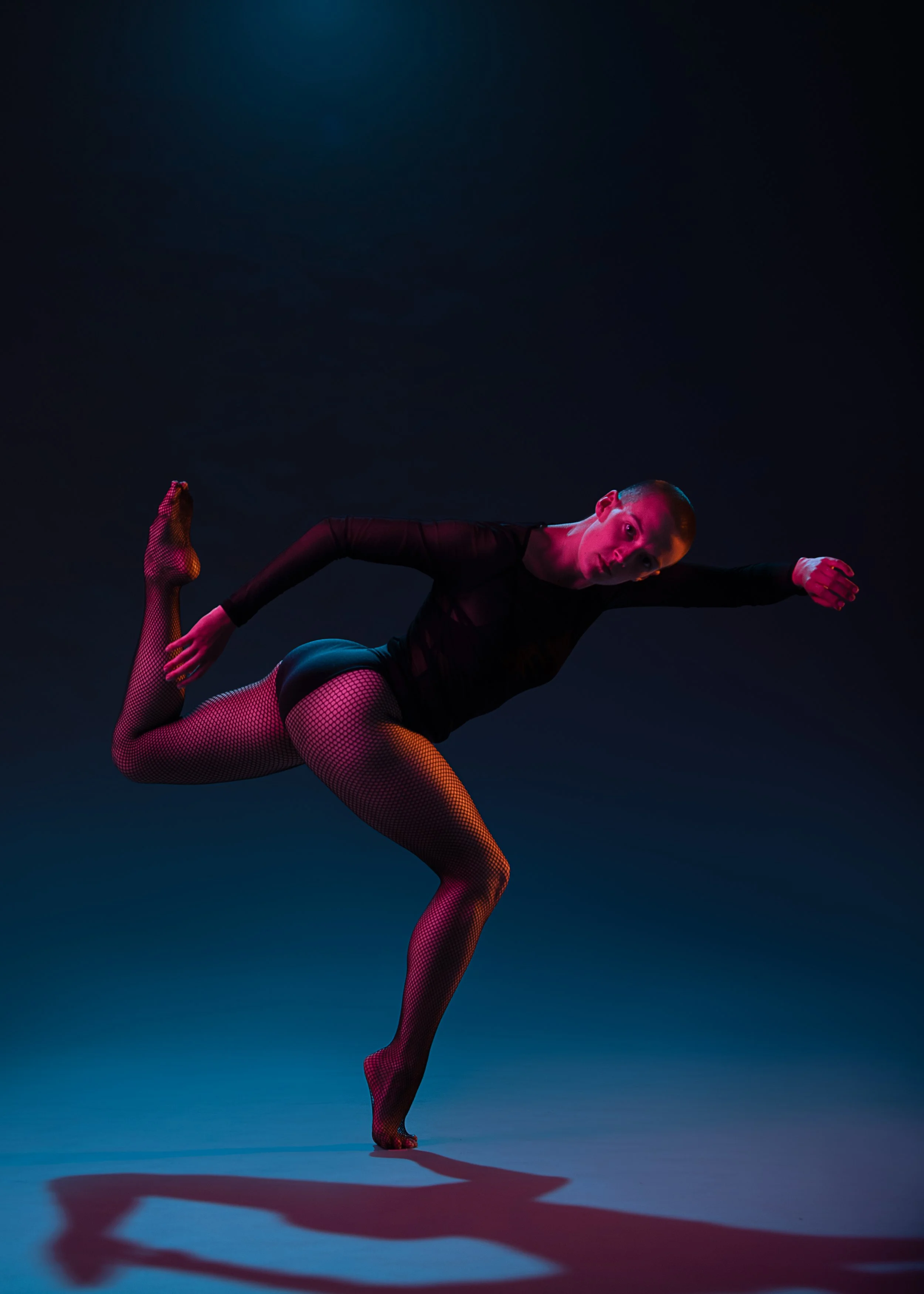 Photo by Maximillian Tortoriello, 2022