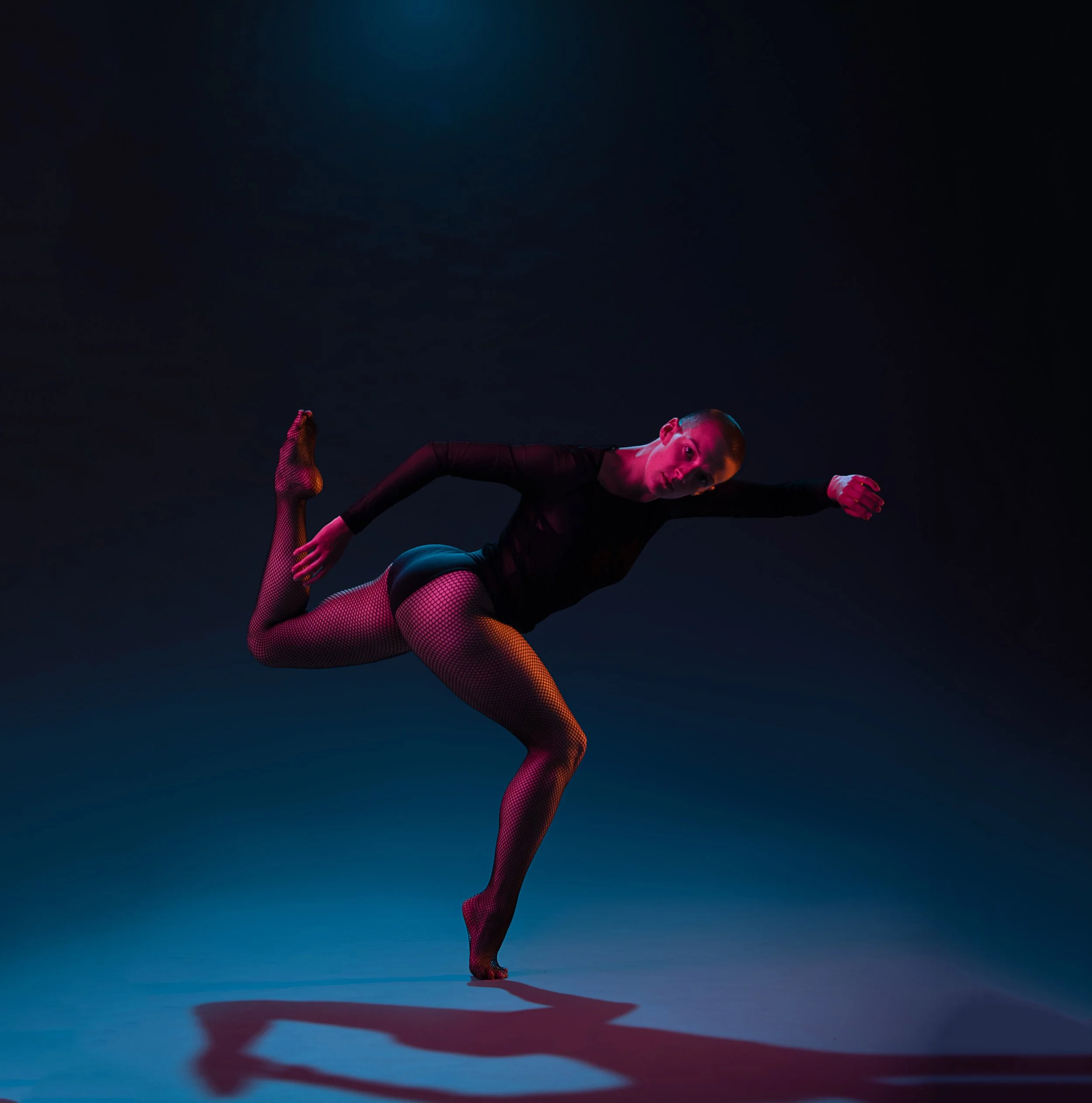 Photo by Maximillian Tortoriello, 2022