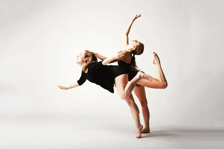 The Anata Project, 2017