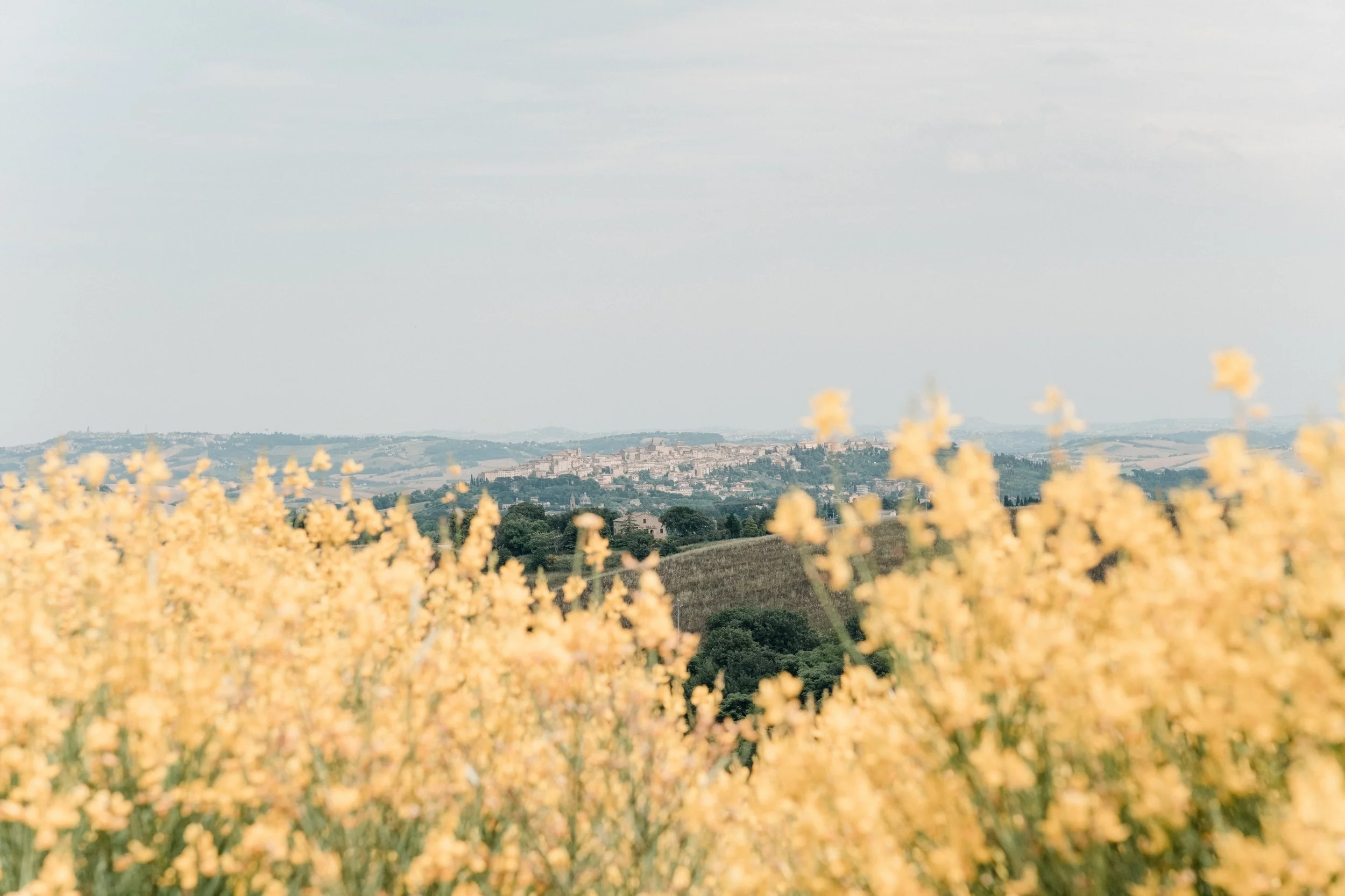 La Vera Italia