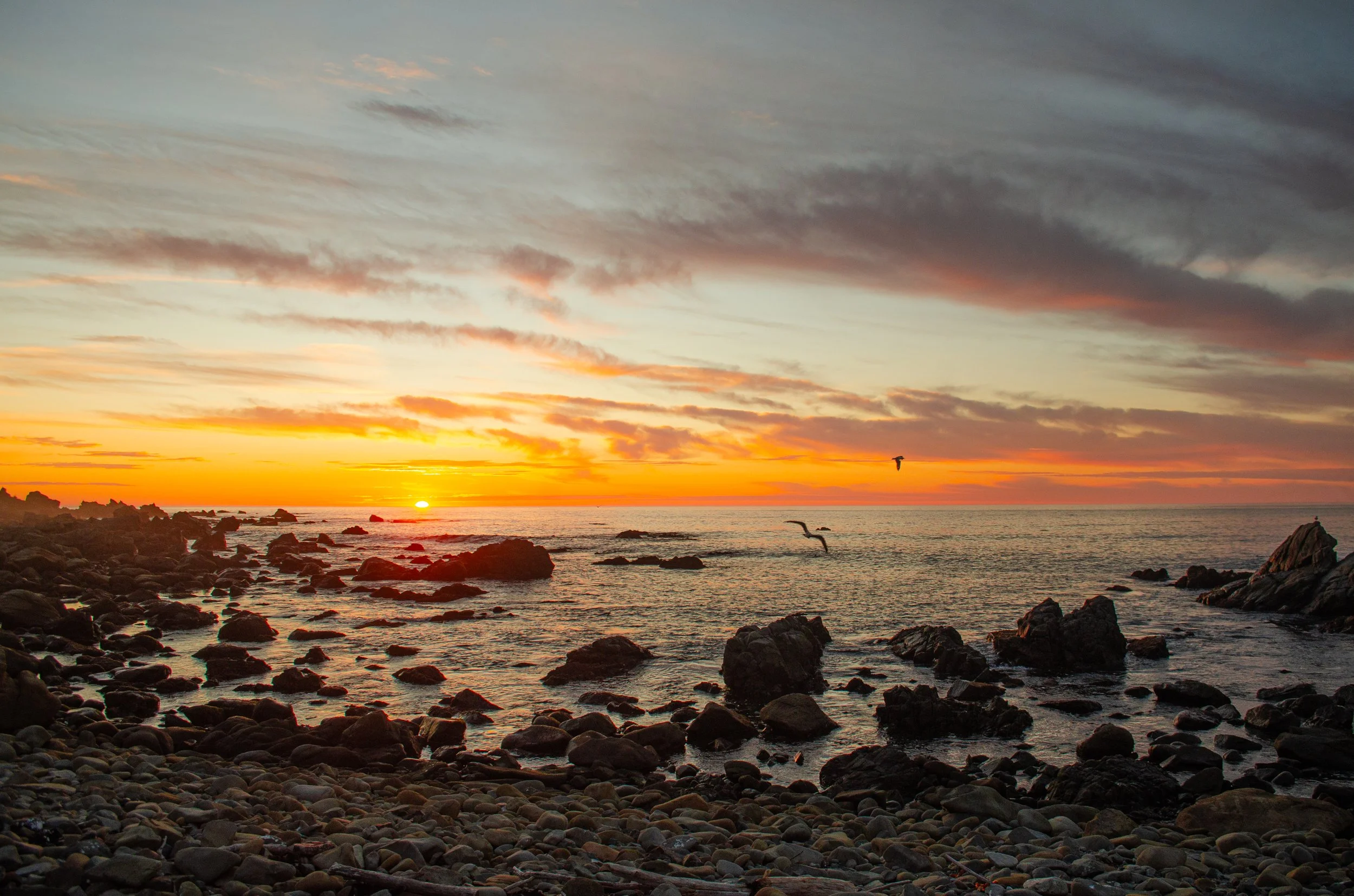 Rhys Healy photography