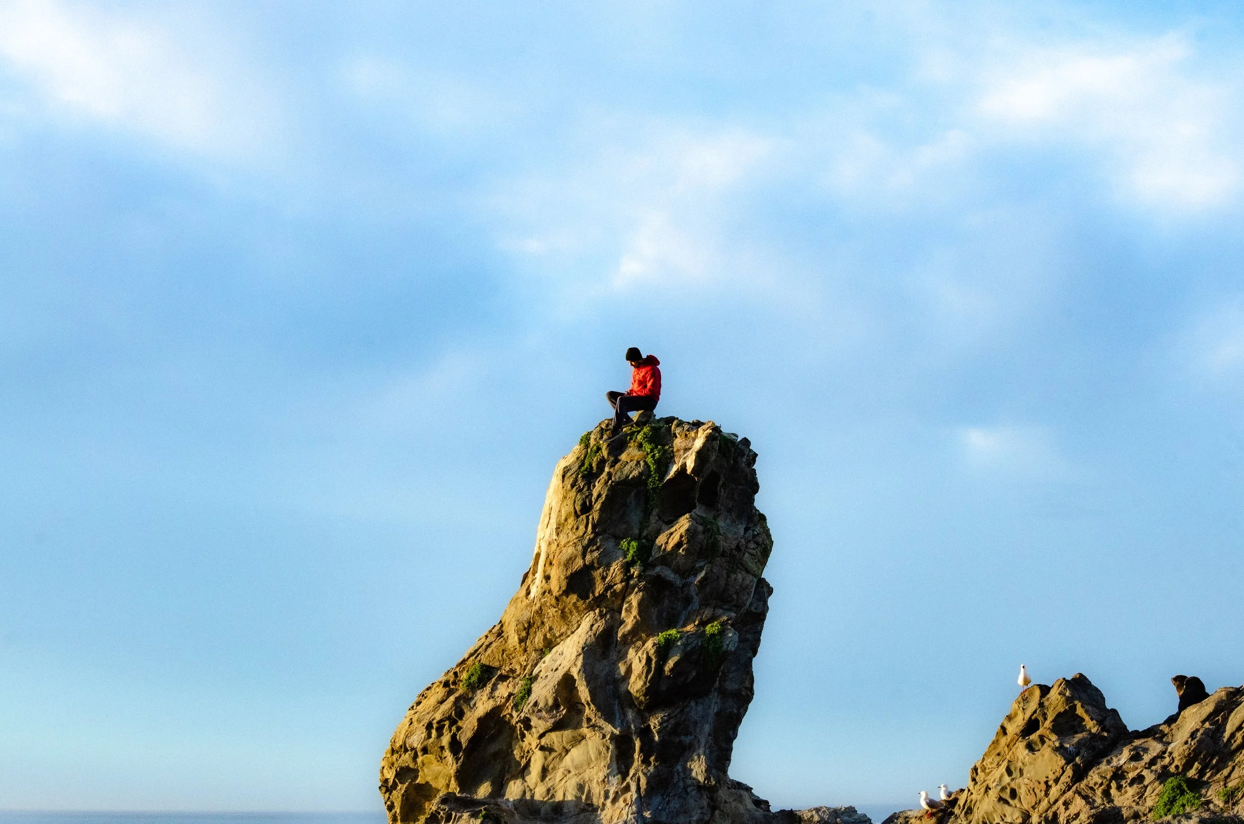 Rhys Healy photography