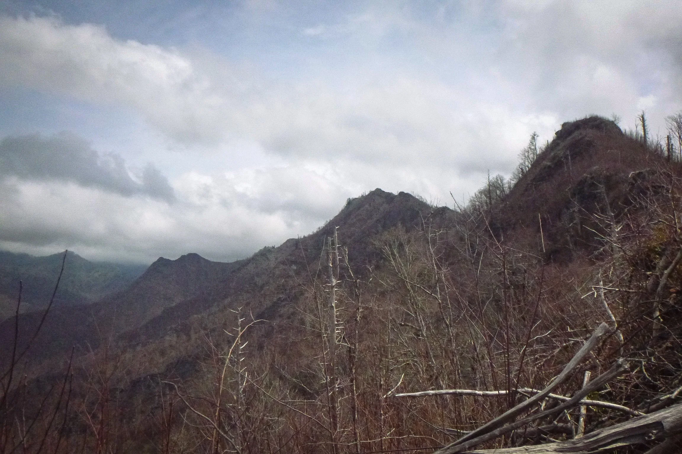 Fire-scarred ridgeline at Duniskwalgunyi iguni, Chimney Tops, Great Smoky Mountains