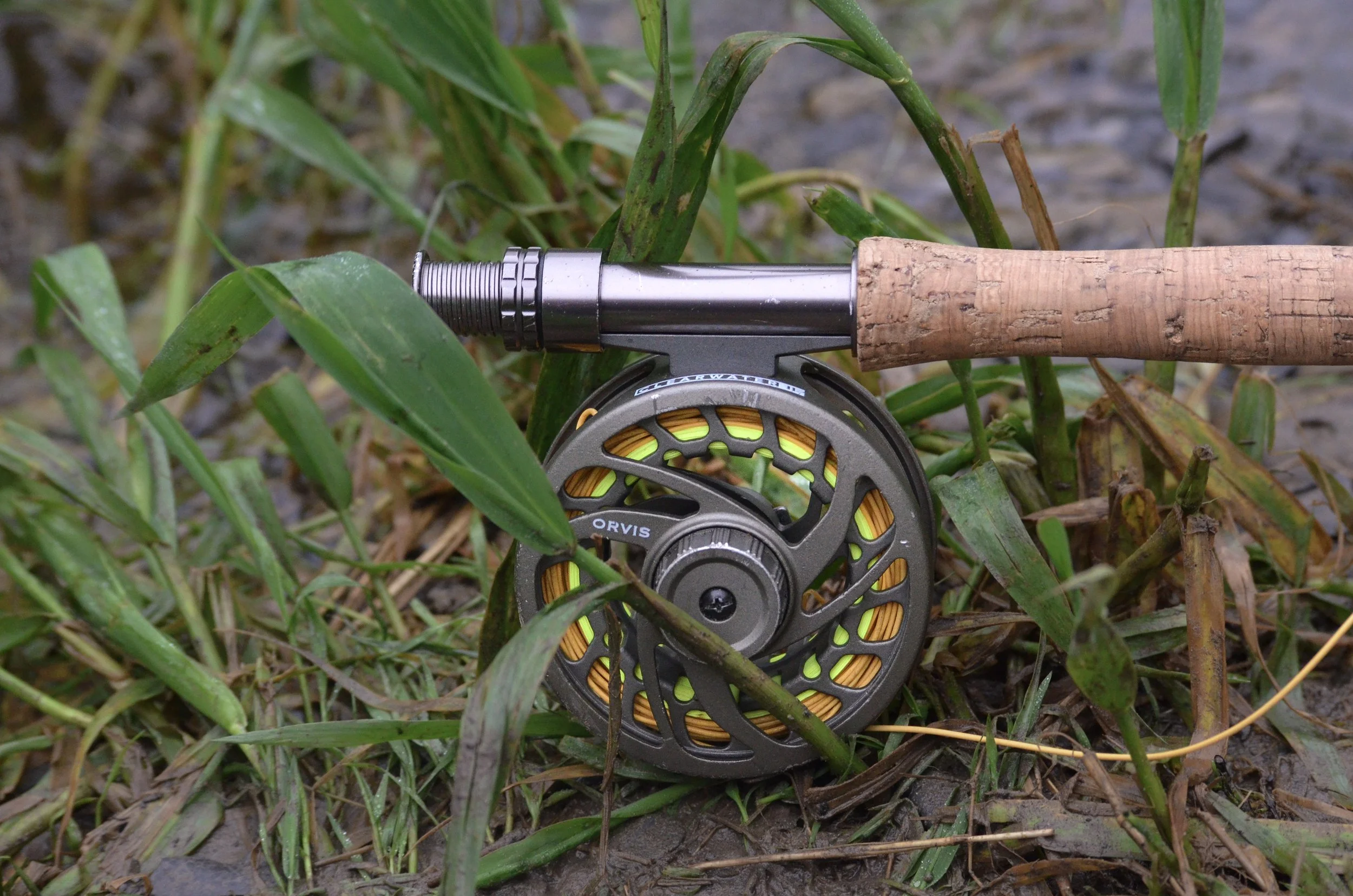 Rhys Healy photography