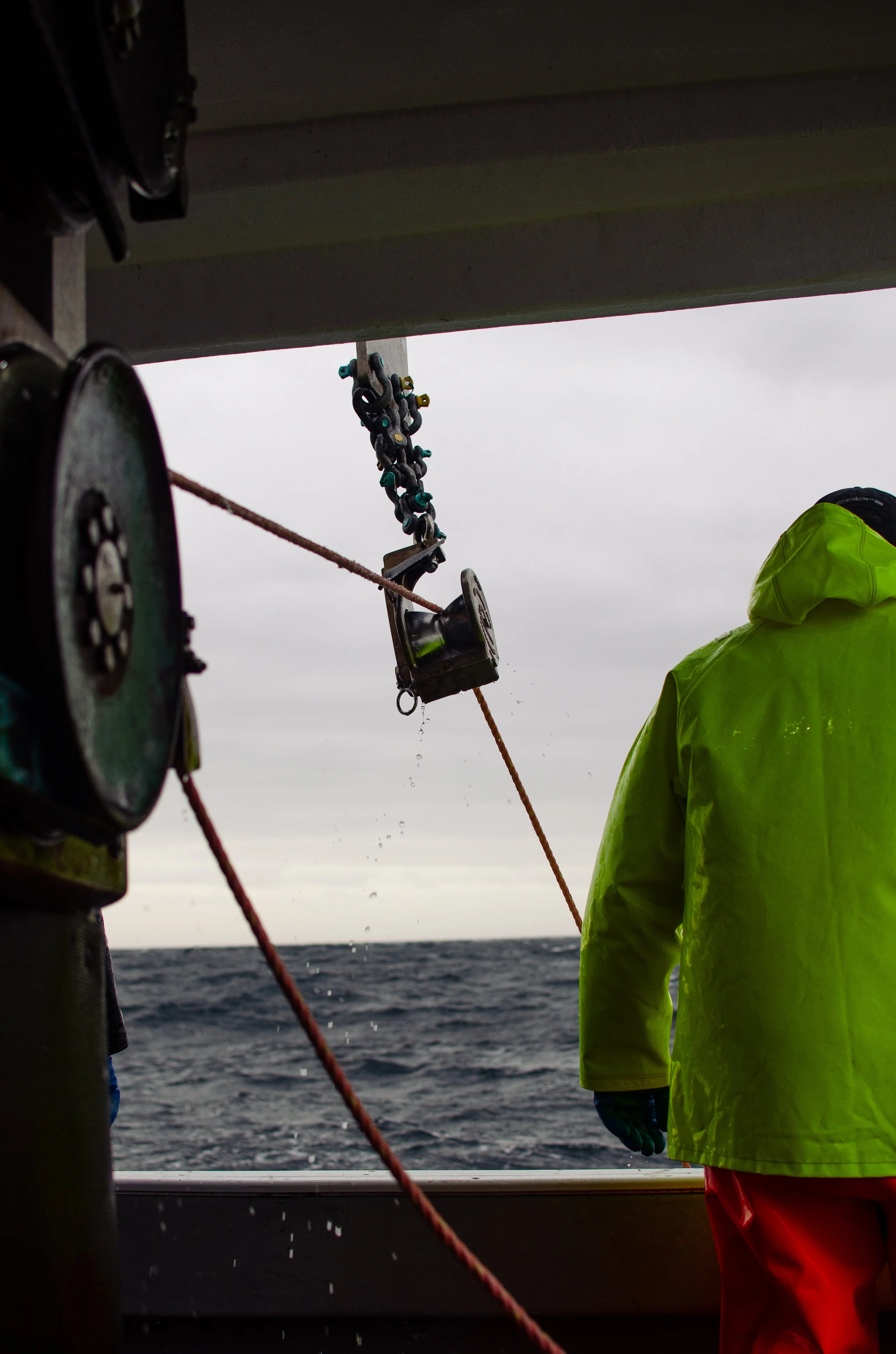 Fisherman's Market International, Port Mersey