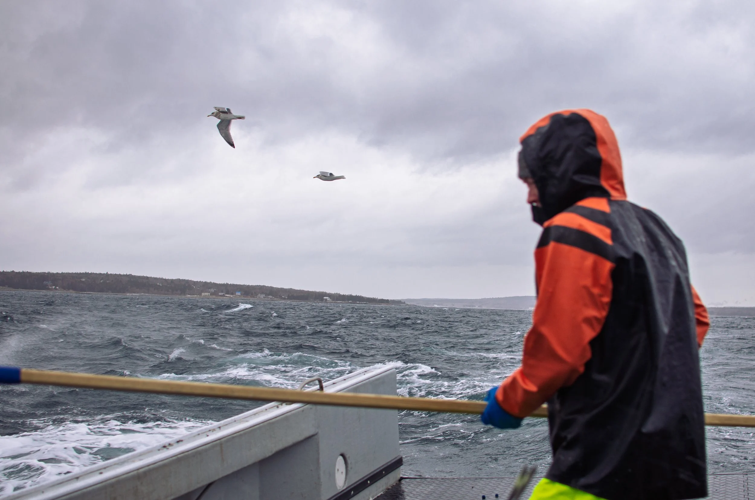 Rhys Healy photography