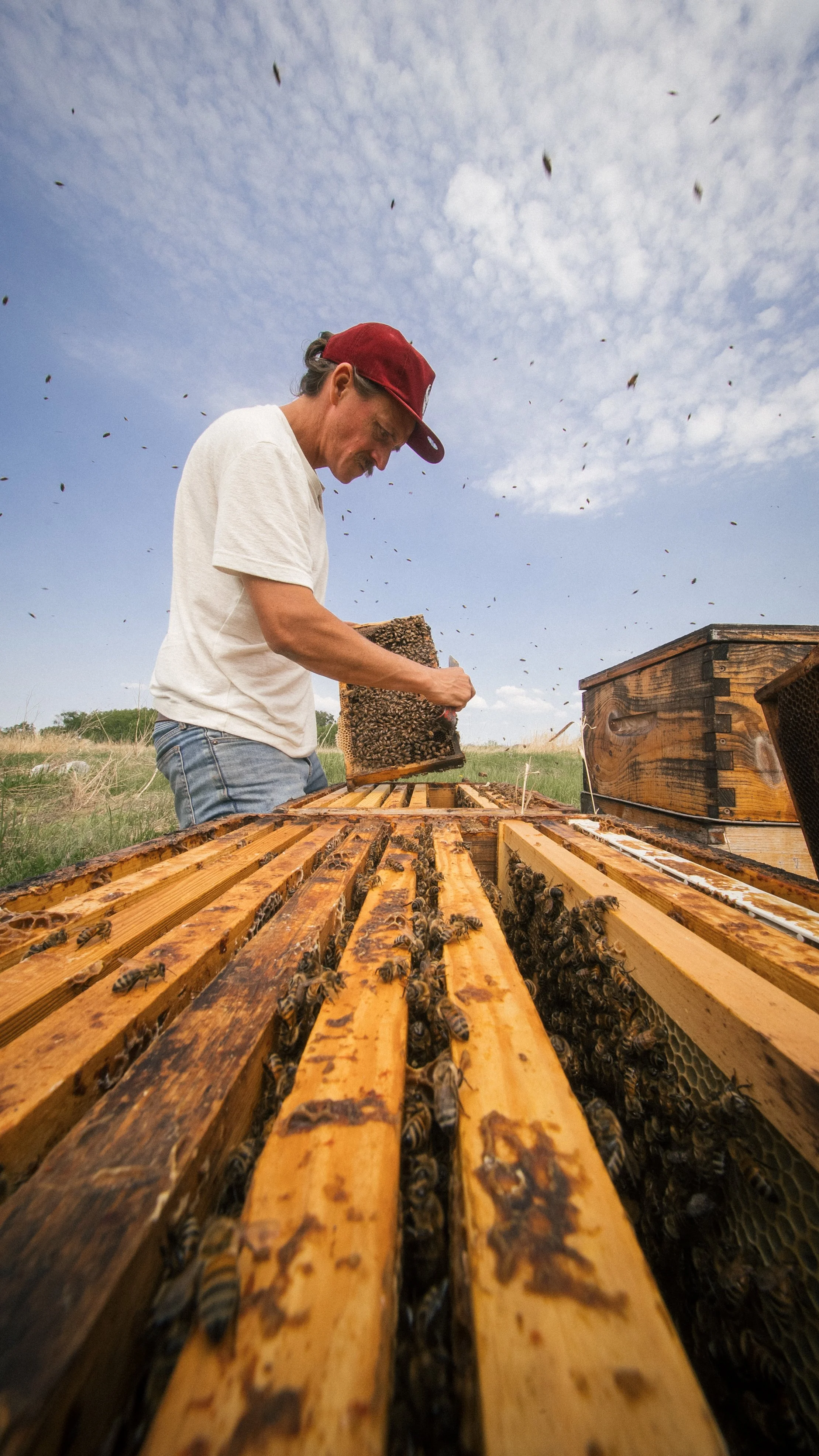 Prairie Apiary