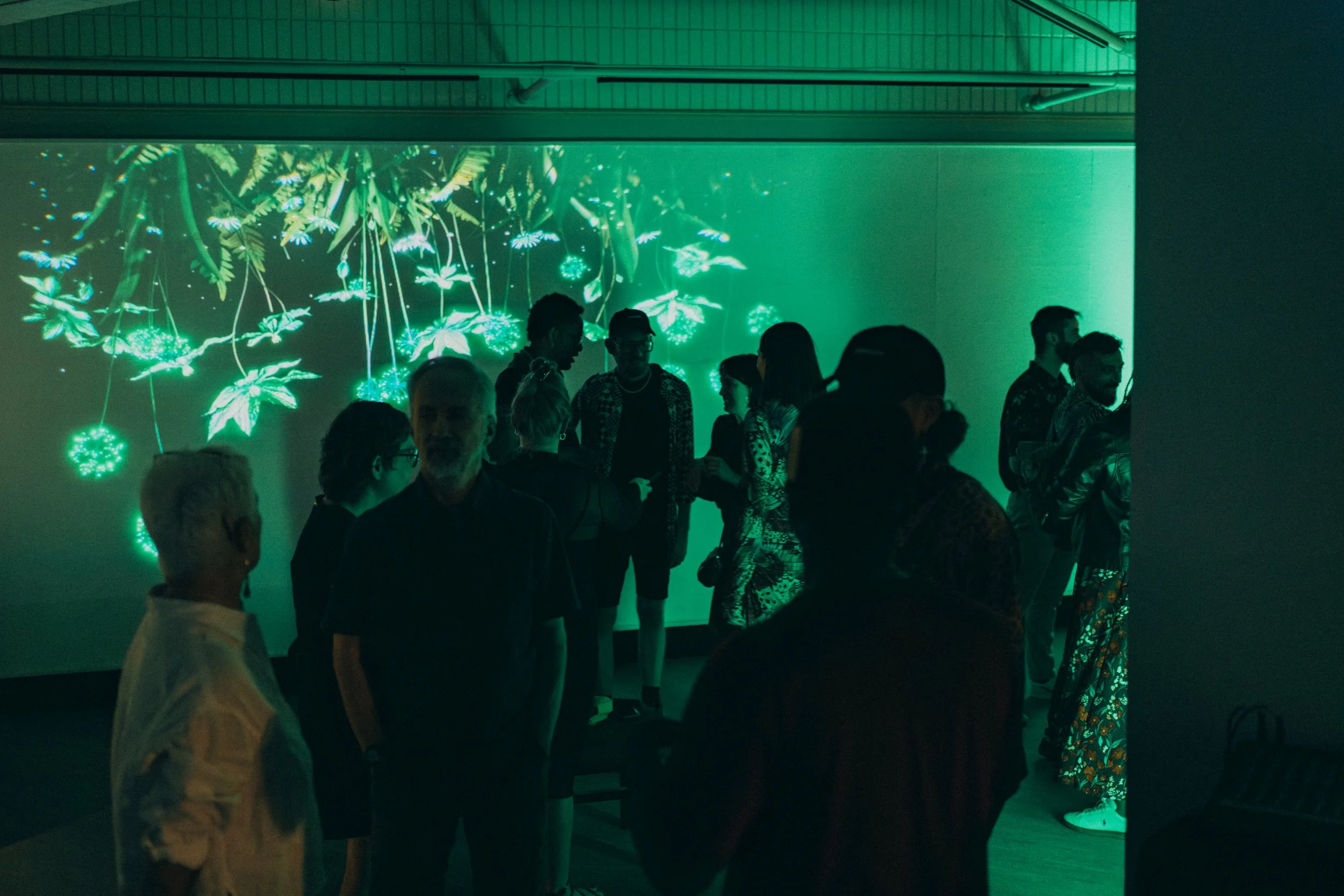 Hyperart Topologies Gallery Opening