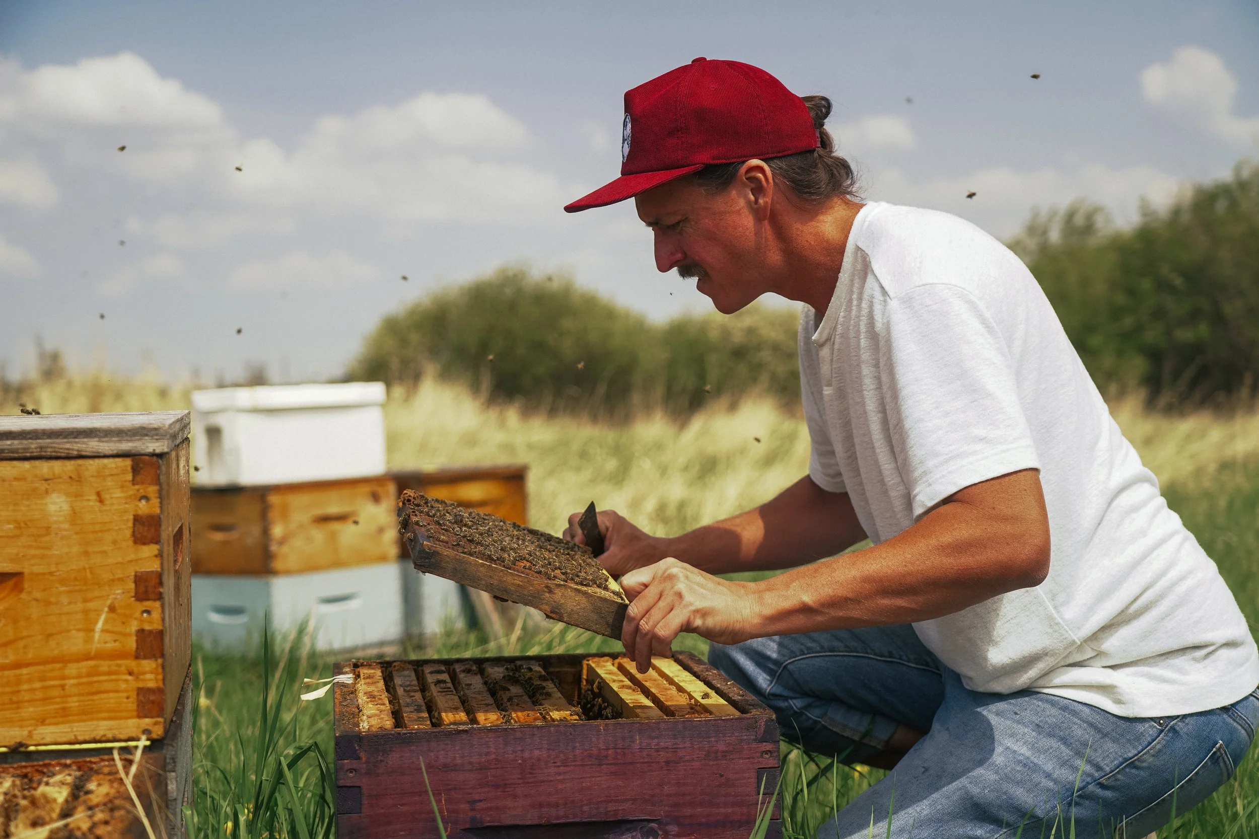Prairie Apiary