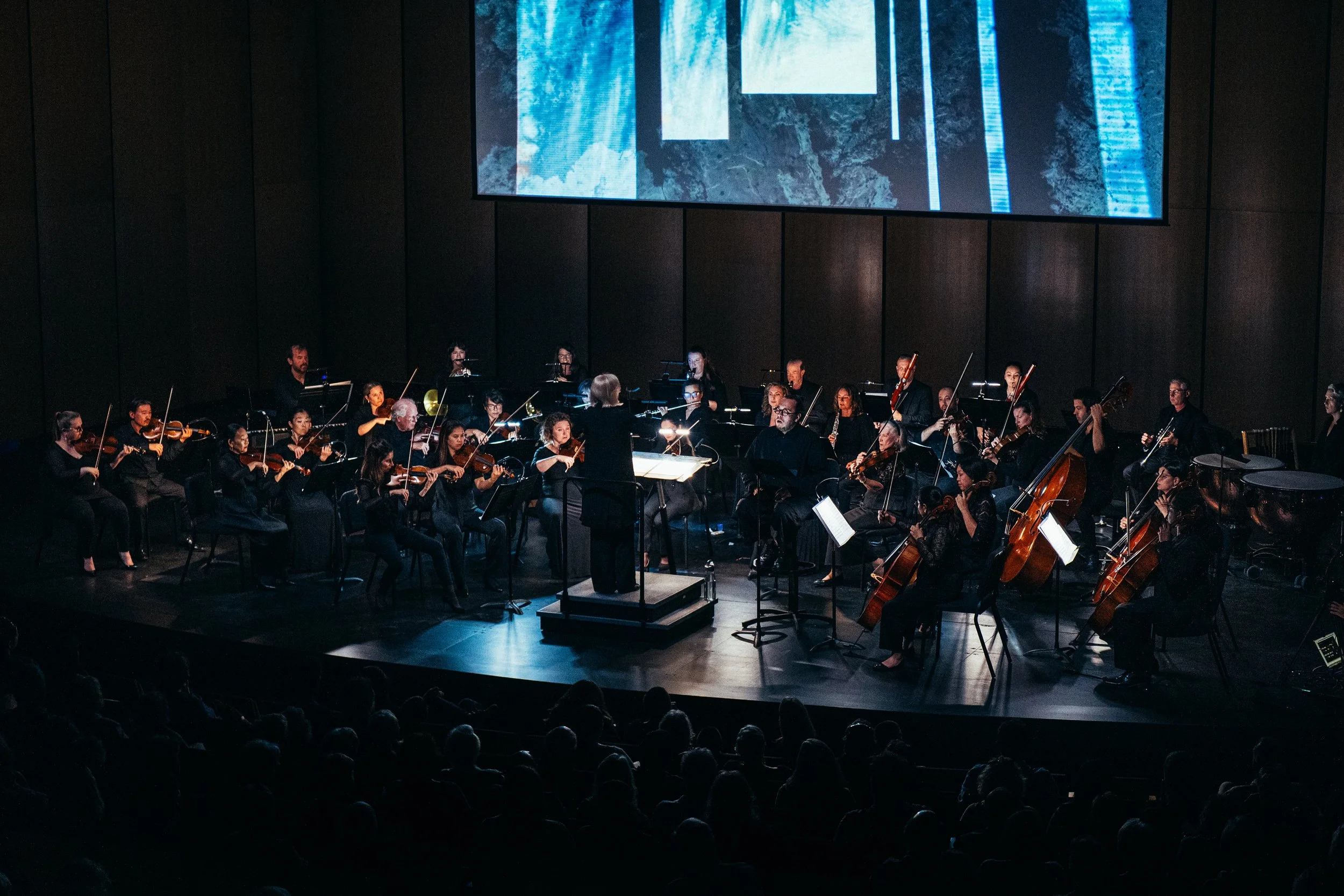 Manitoba Chamber Orchestra's Lament at Desautels Concert Hall
