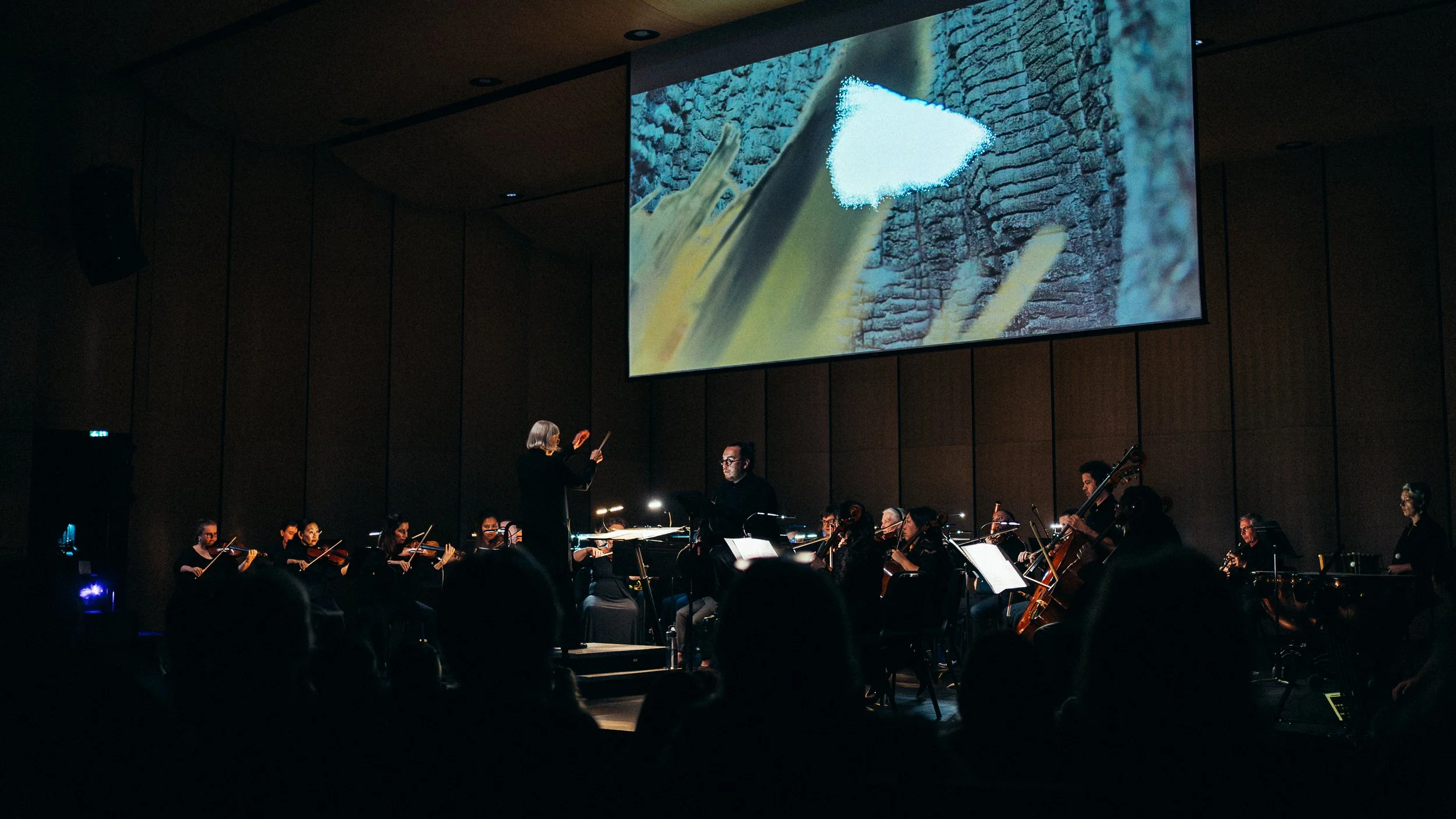 Manitoba Chamber Orchestra's Lament at Desautels Concert Hall