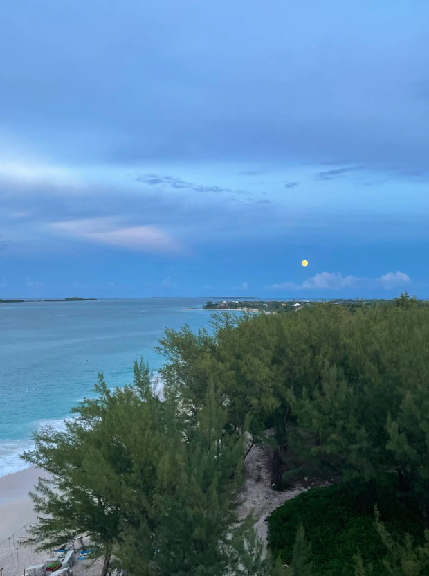 Screenshot 2026-03-25 at 4.25.10 PM.png