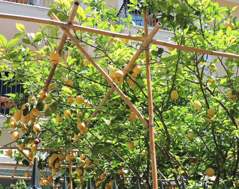 Screenshot 2026-03-24 at 5.06.30 PM.png