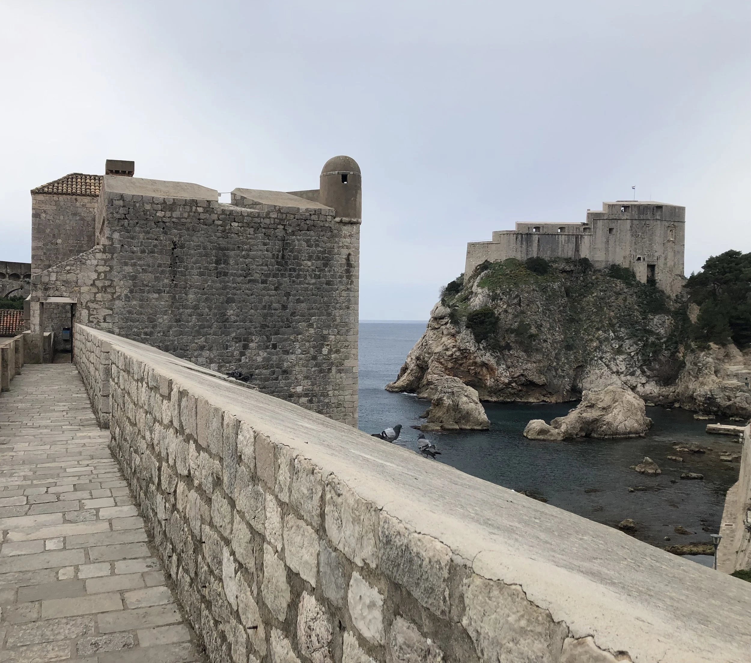 IMG_9493 2.JPEG