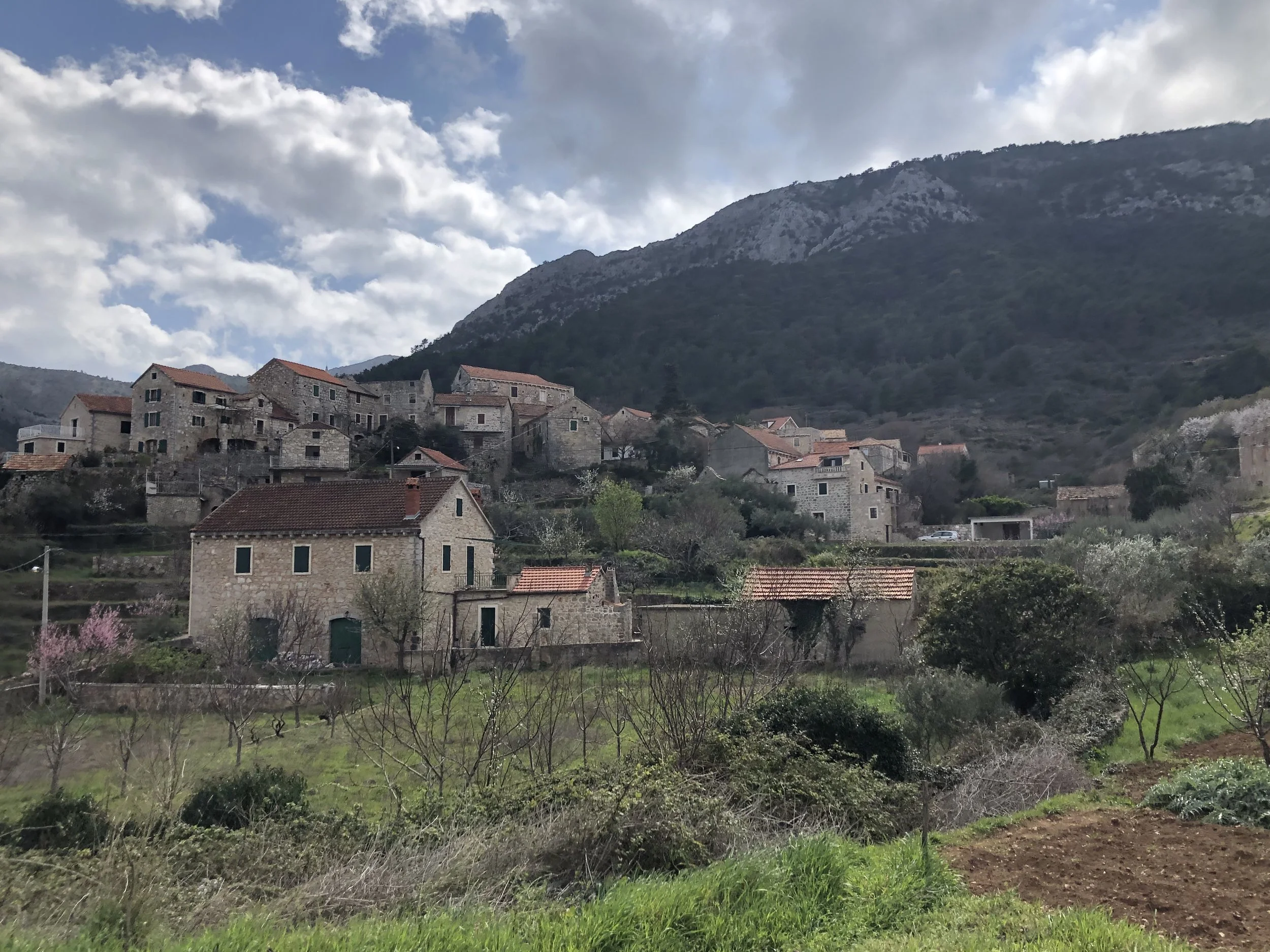 Croatia for Wine Lovers: A Guide to Drinking Your Way Down the Dalmatian Coast