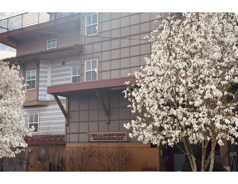 Building with a sign that reads 'Washington Workplace' and blooming white trees in front.