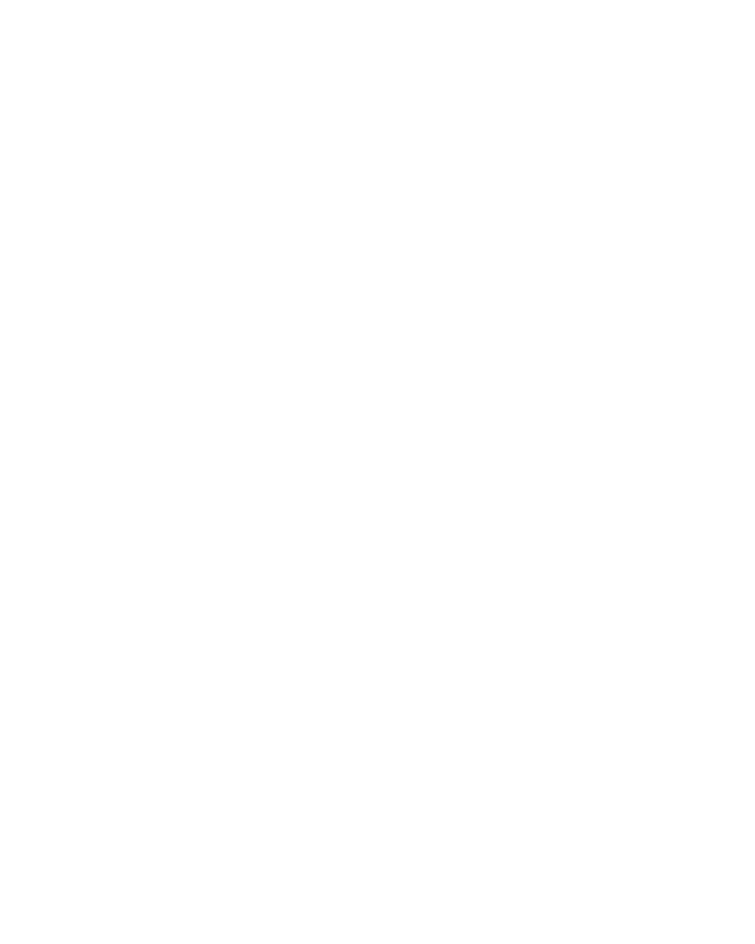 Icon of balance scales, person, and shield with checkmark representing legal identity protection.