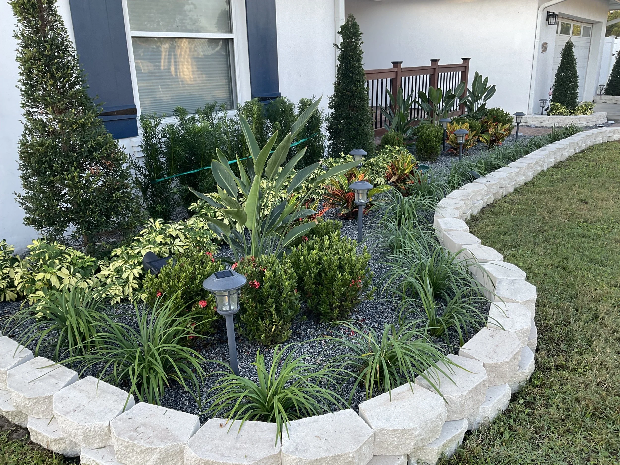 A landscaped garden bed with assorted plants, including tall evergreen shrubs, large leafy plants, ground cover, and flowering plants, bordered by a curved wall of white stones, with pathway lights among the plants near a white house exterior.