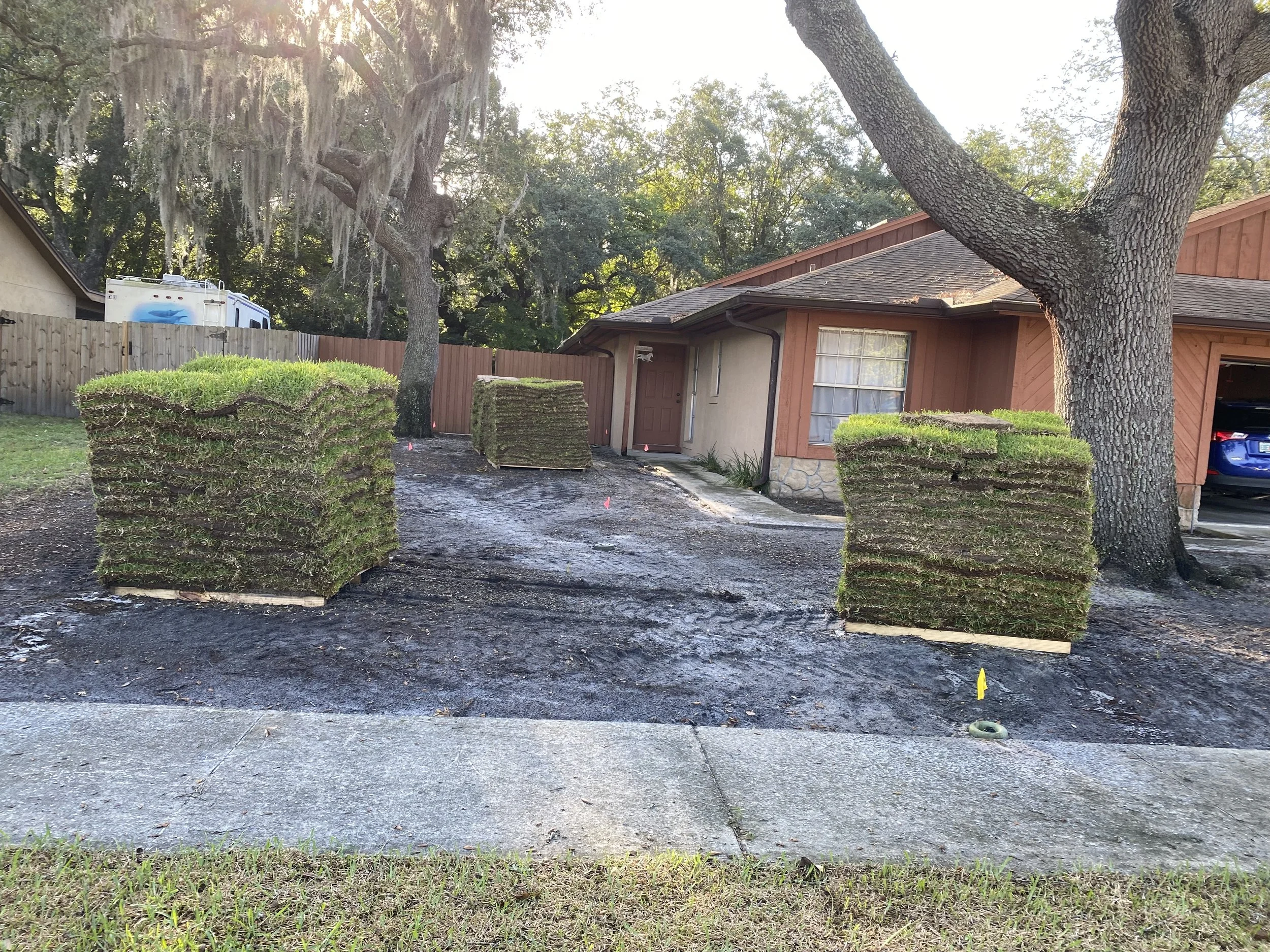 New sod being laid in front yard, with stacks of sod on wooden pallets, a tree, a house, and a driveway in the background.