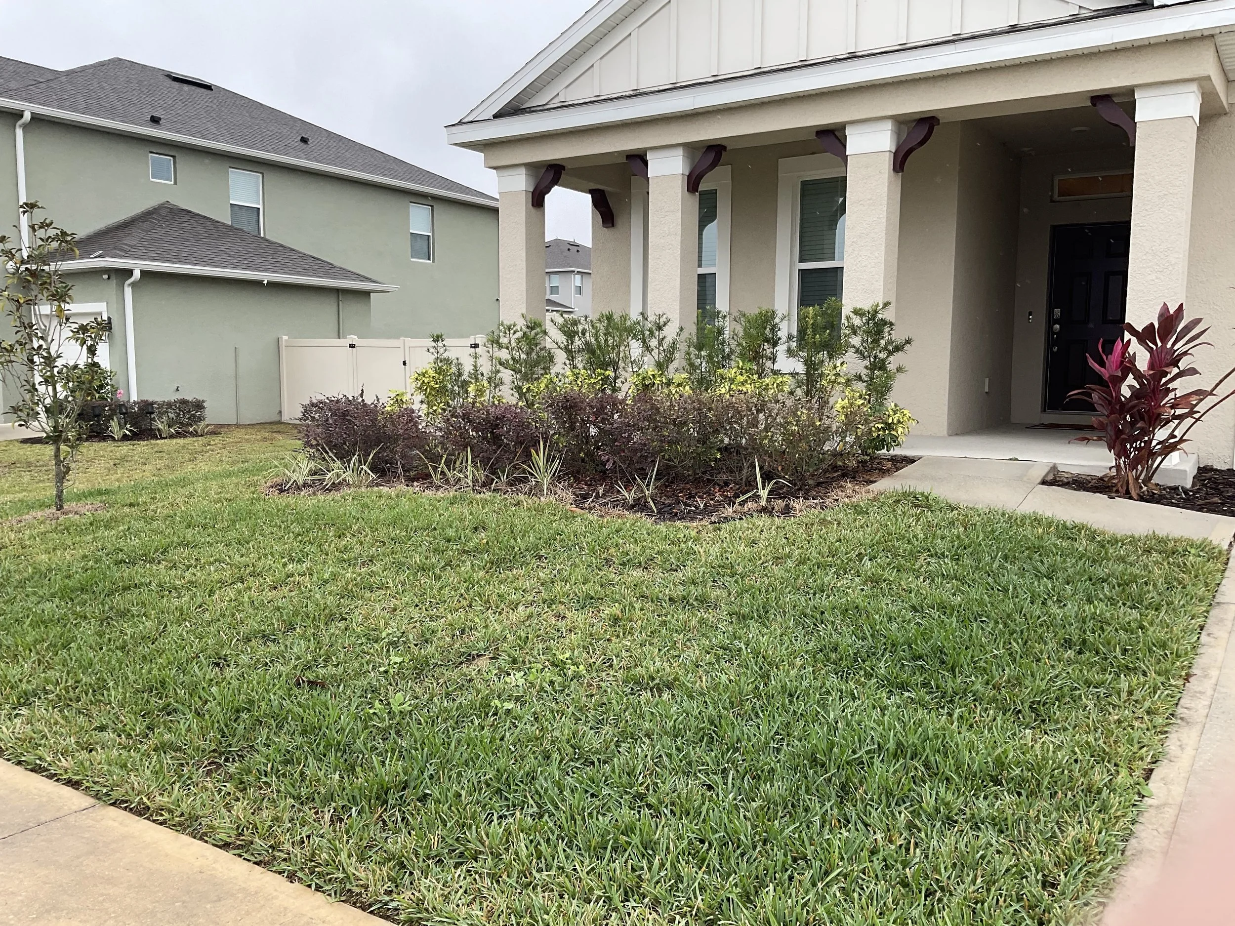 Front lawn with green grass, small trees, bushes, and a covered porch of a house with black door.