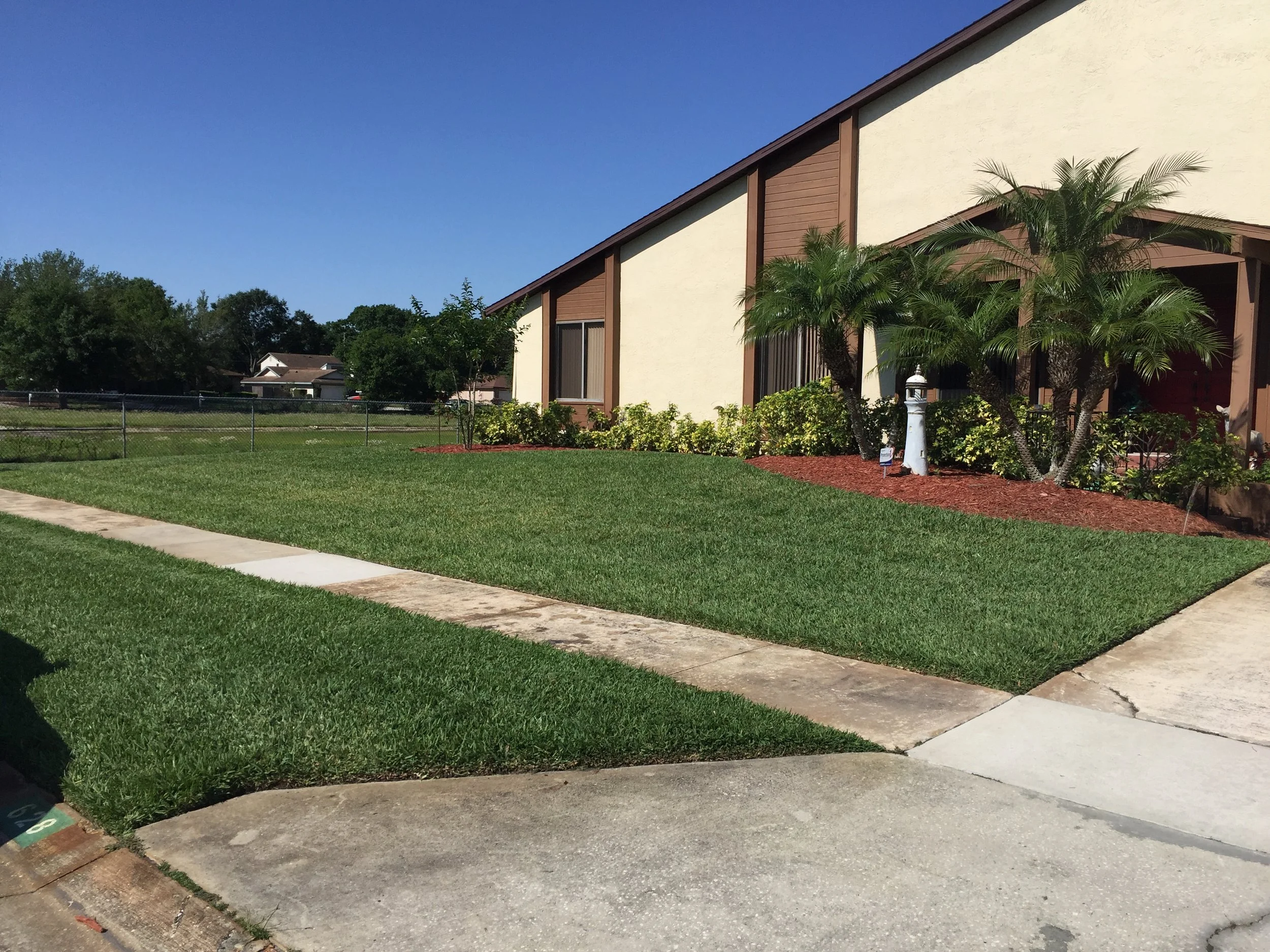 Front yard with green grass, sidewalk, and a house with tan walls and brown wooden accents, with palm trees and bushes near the house under a clear blue sky.