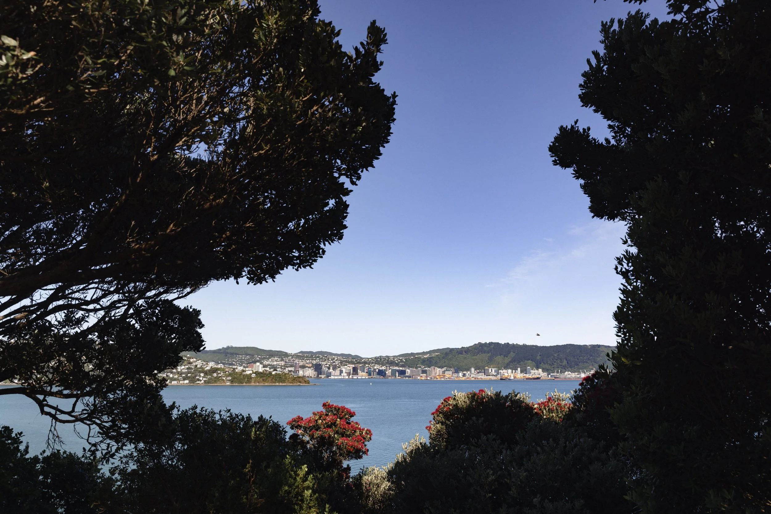 View of the CBD from Mātai Moana