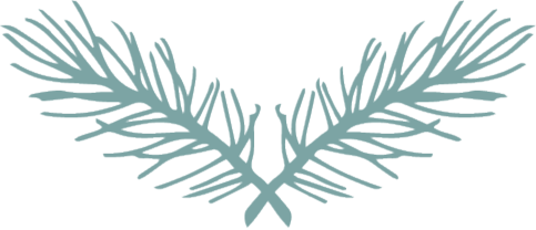 Two crossed pine branches.