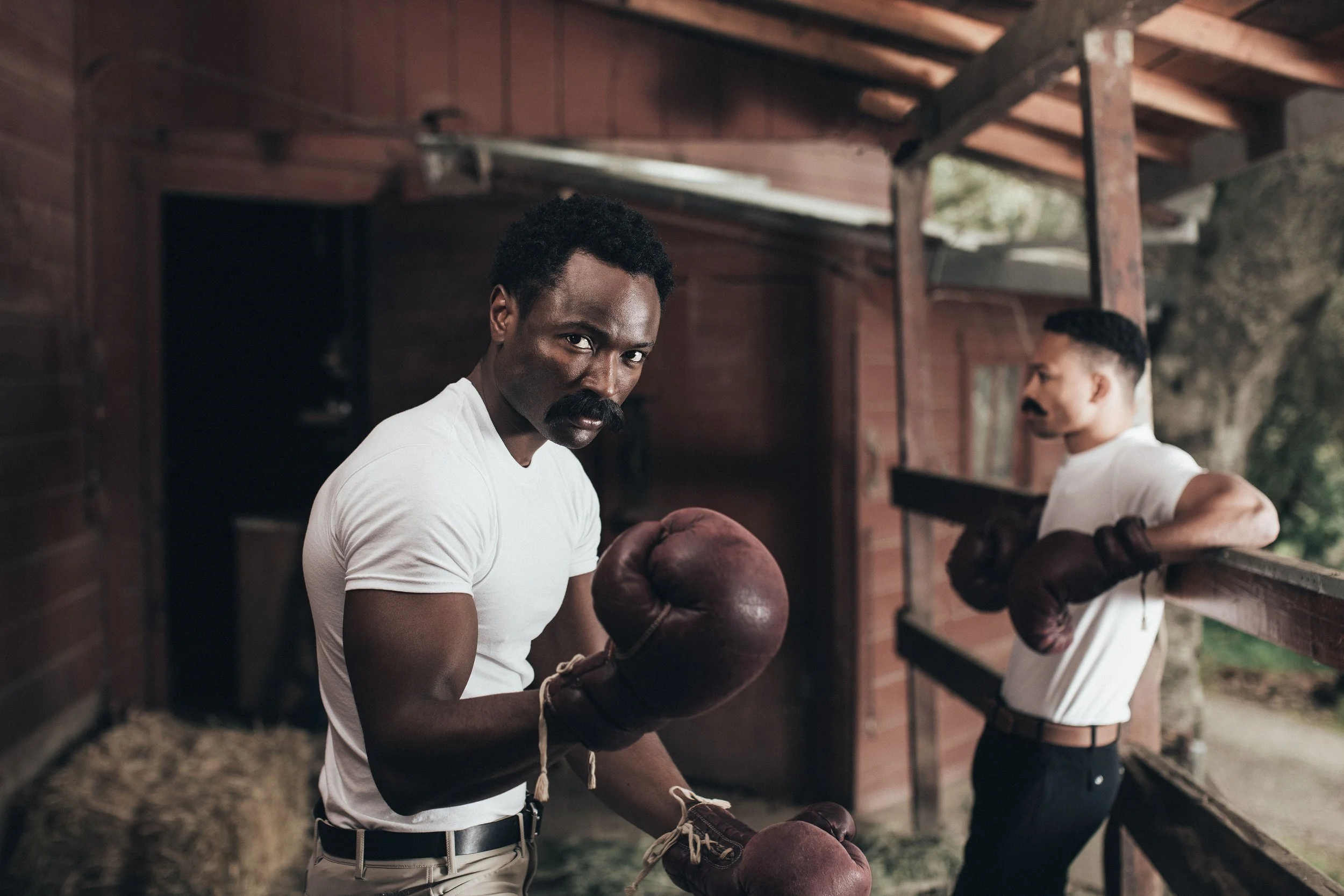 VintageBoxer-2.jpg