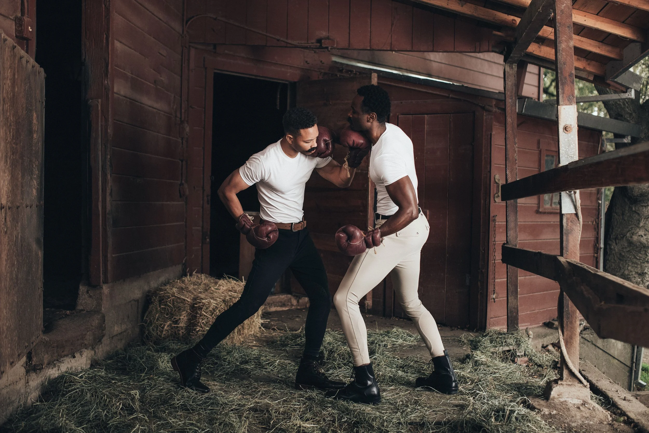 VintageBoxer--5.jpg