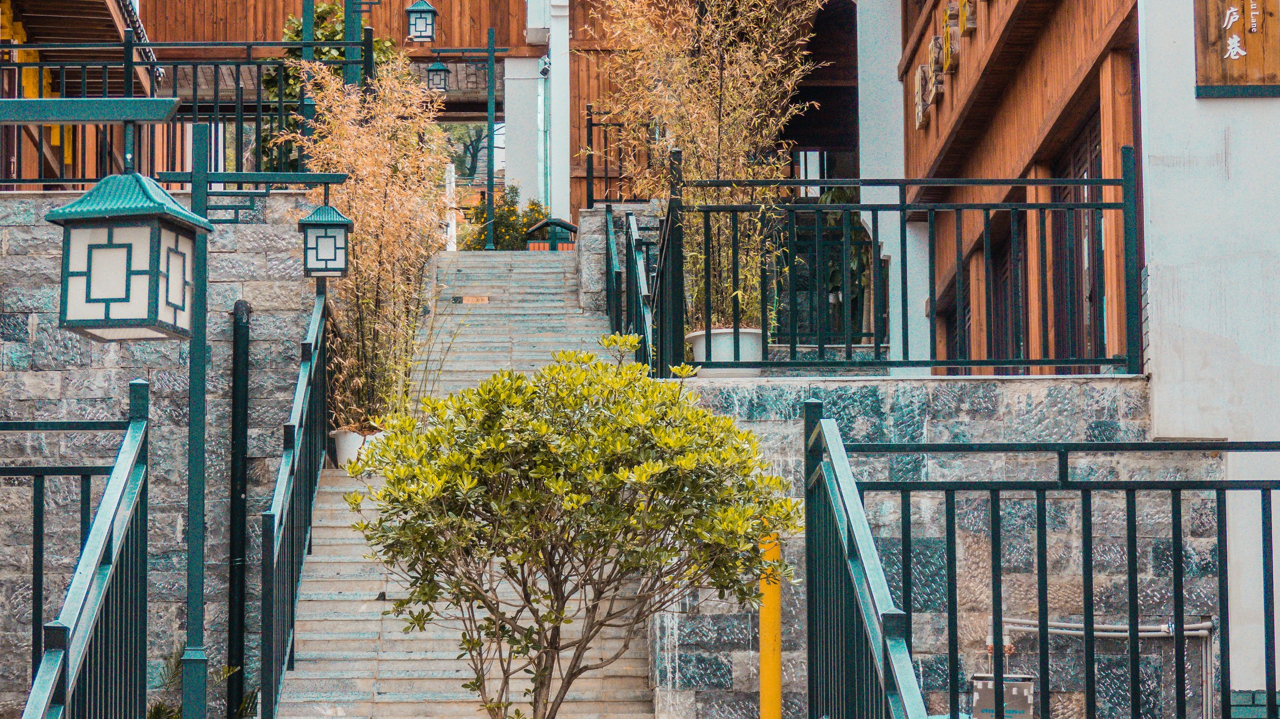 green-leafed-plants-stairs.jpg