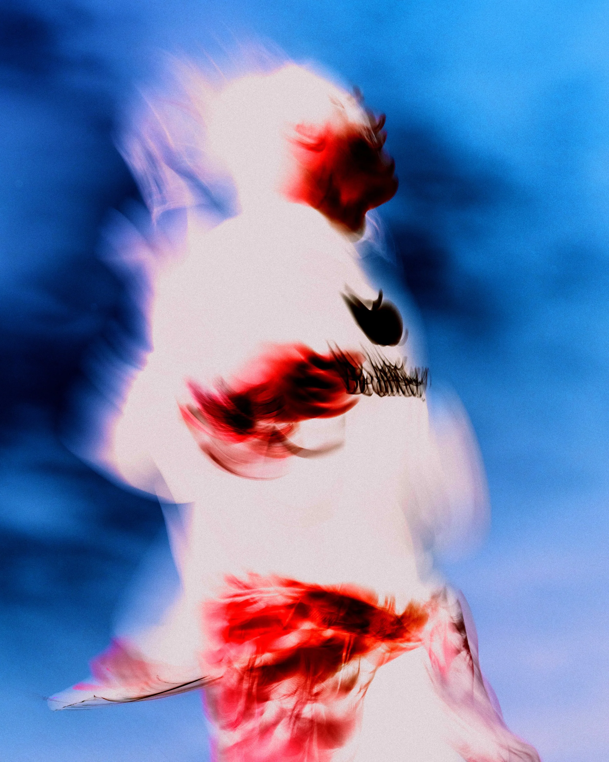 6Feng insta .jpg
