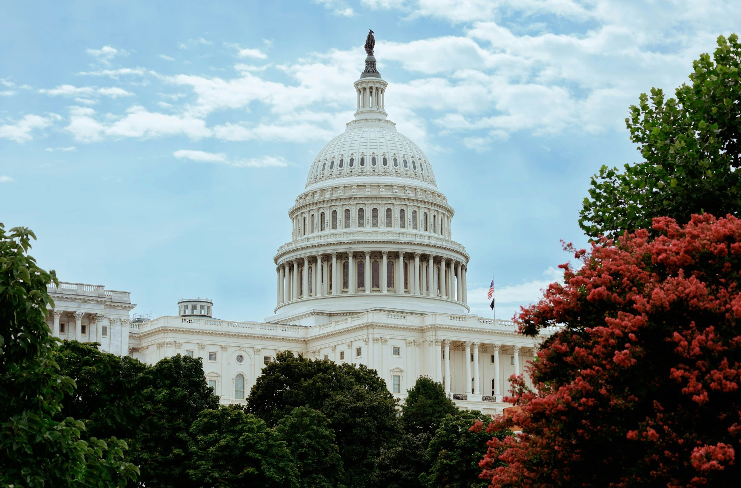 The United States Capitol building surrounded by green trees and pink flowering shrubs, with a partly cloudy sky in the background.