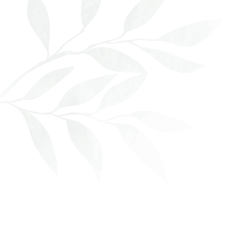 Illustration of a leafy branch with green leaves on a black background.