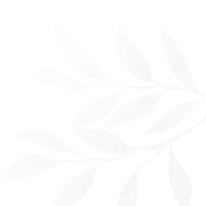 Illustration of a eucalyptus branch with elongated leaves on a black background.