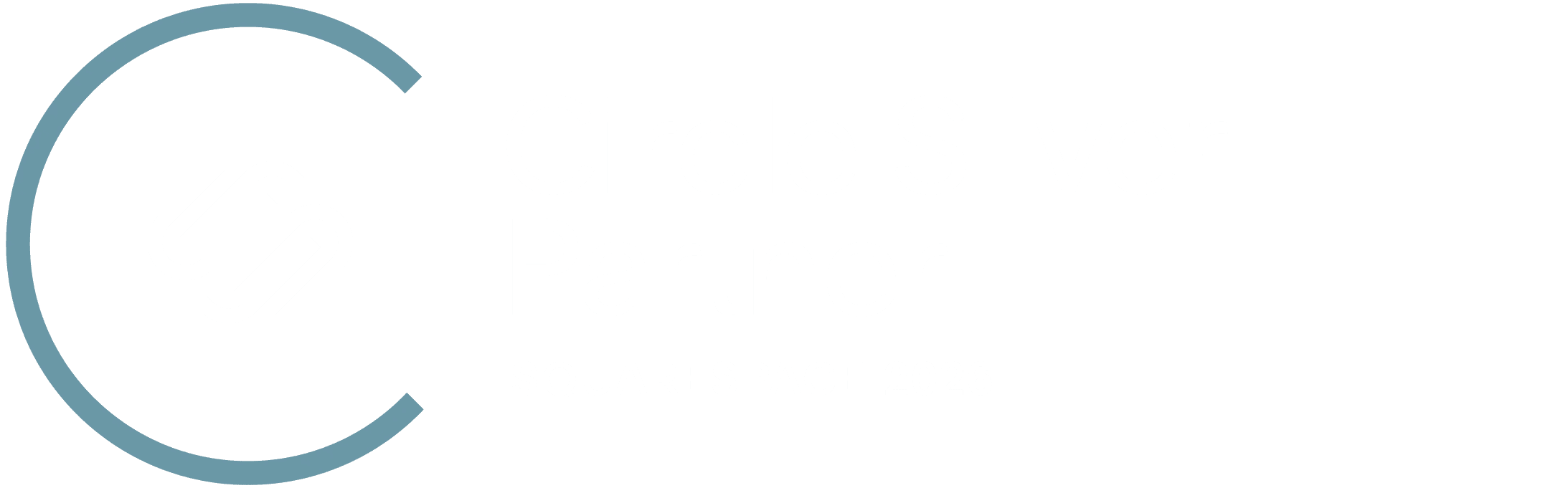 Logo of a Circle Silver Partner, featuring two interlinked white hands inside a blue circle and the words 'Circle Silver Partner' and 'Squadron 202' in white text on a black background.