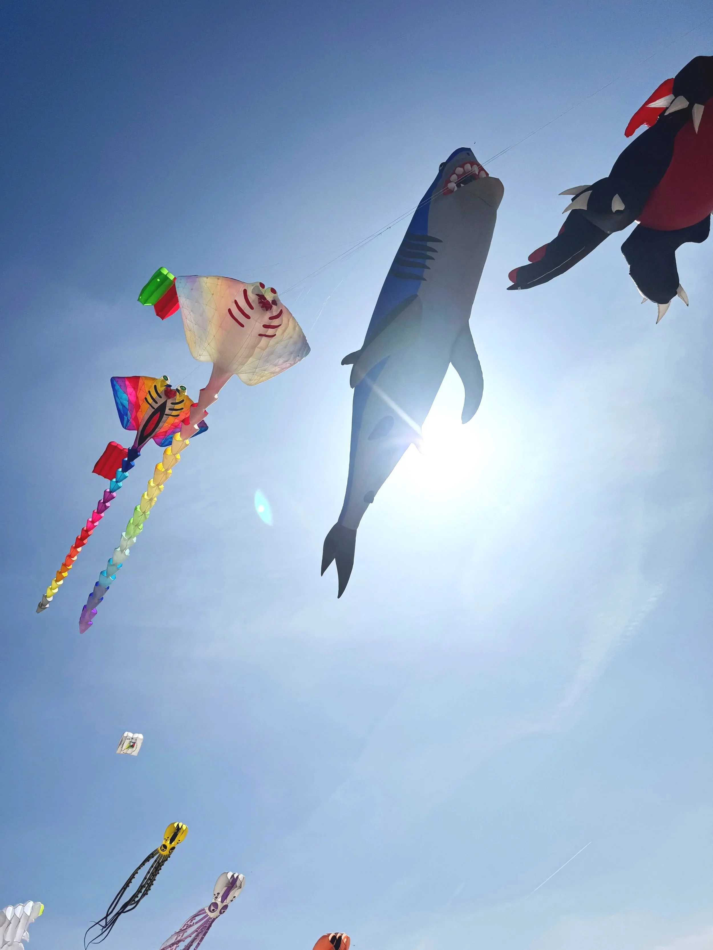 events, evènement, festival ibérico dos papagaios gigantes, foz de arelho, caldas da rainha, portugal, praia, kites