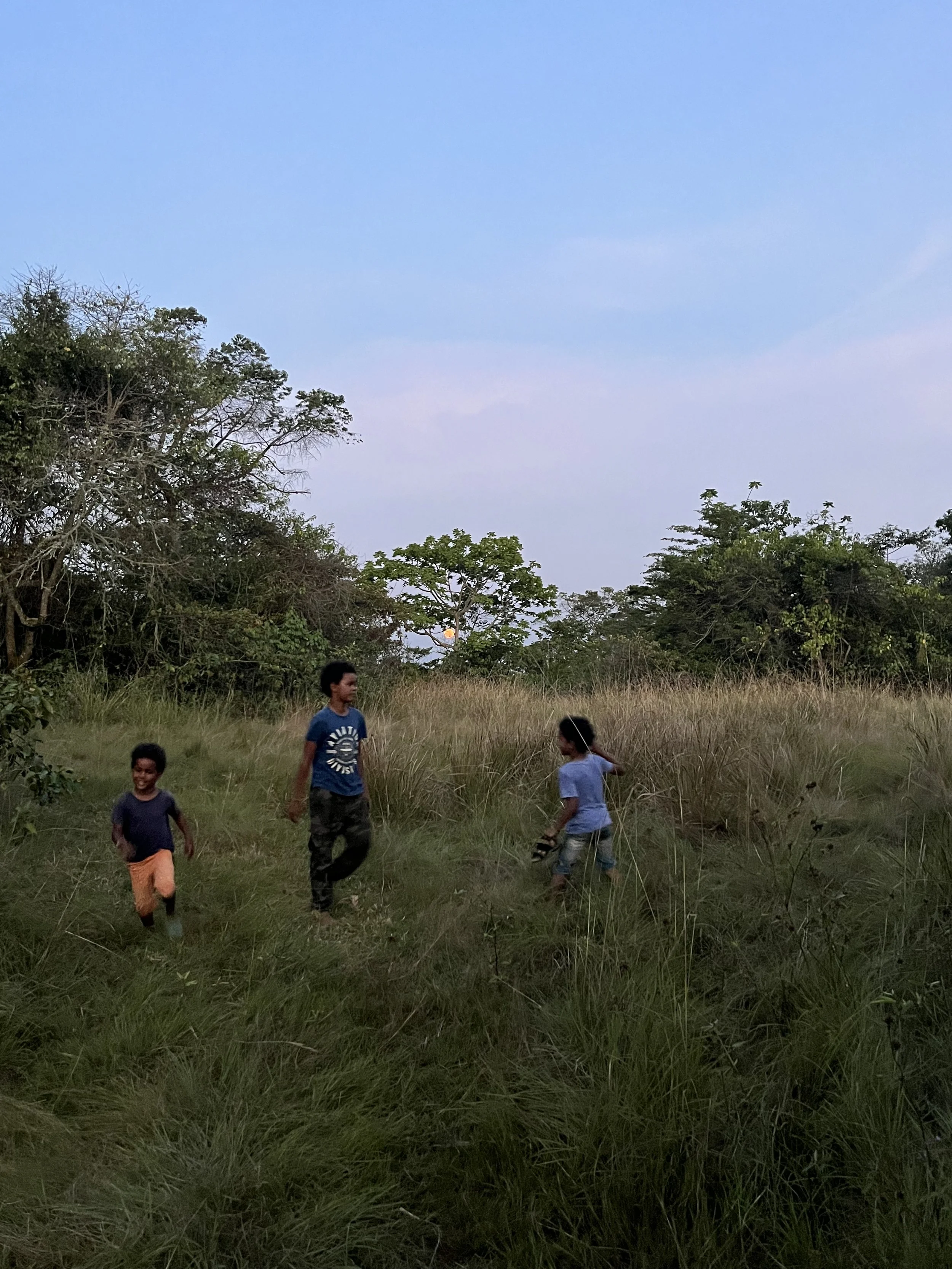 IMG_4172.jpeg